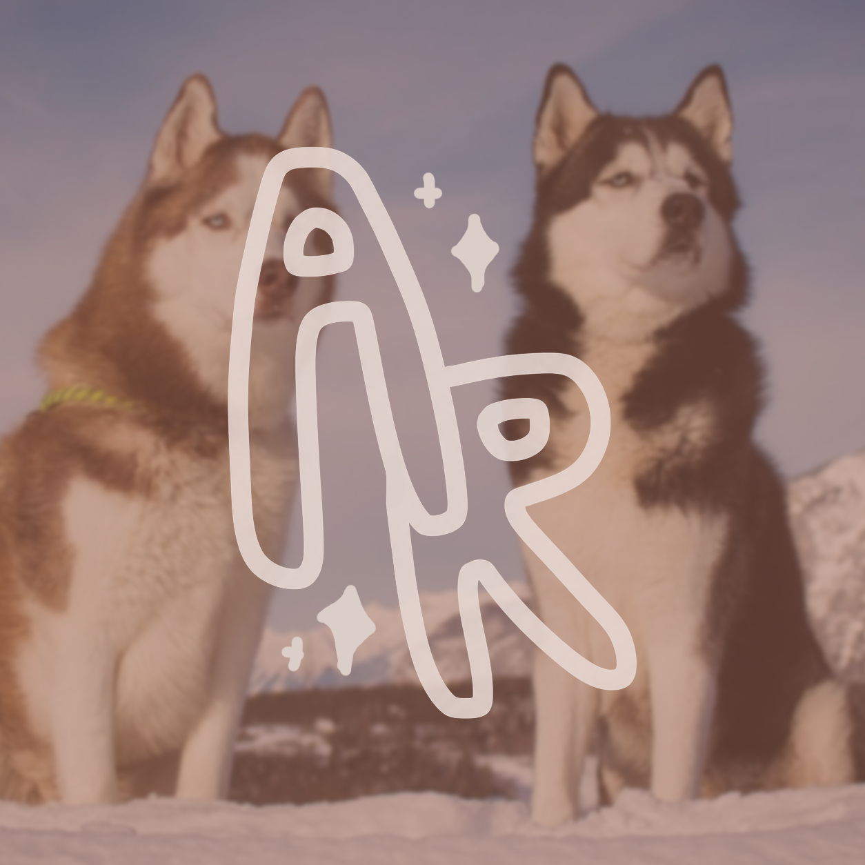 Previous client brand graphic featuring the initials AR over a photograph of two huskies.