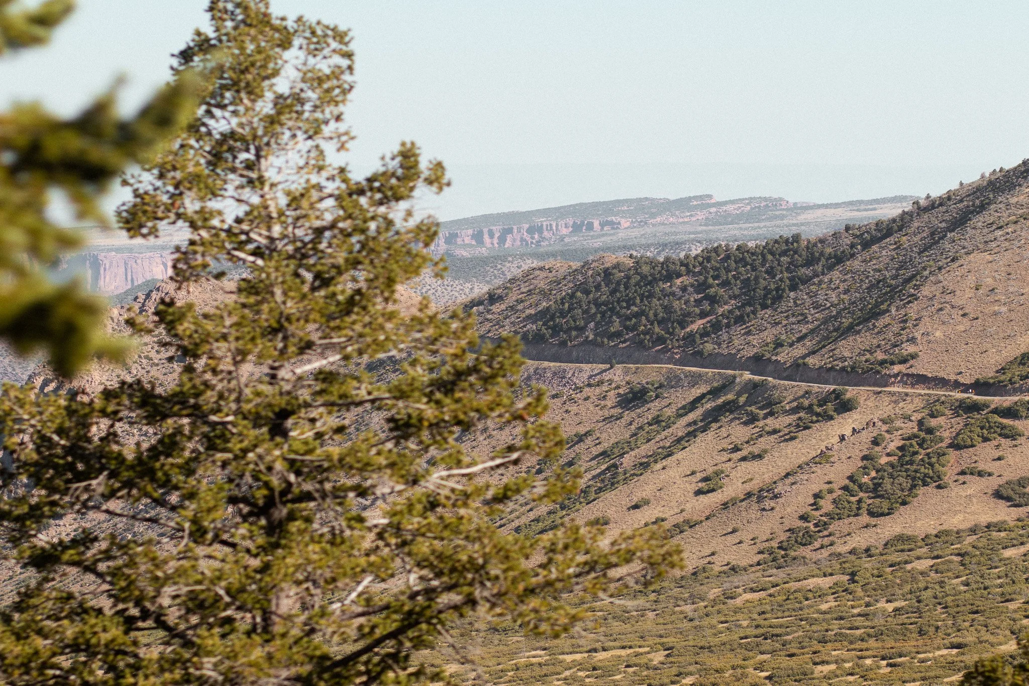 One winding road through rolling desert hills with trees and canyon views in the distance.