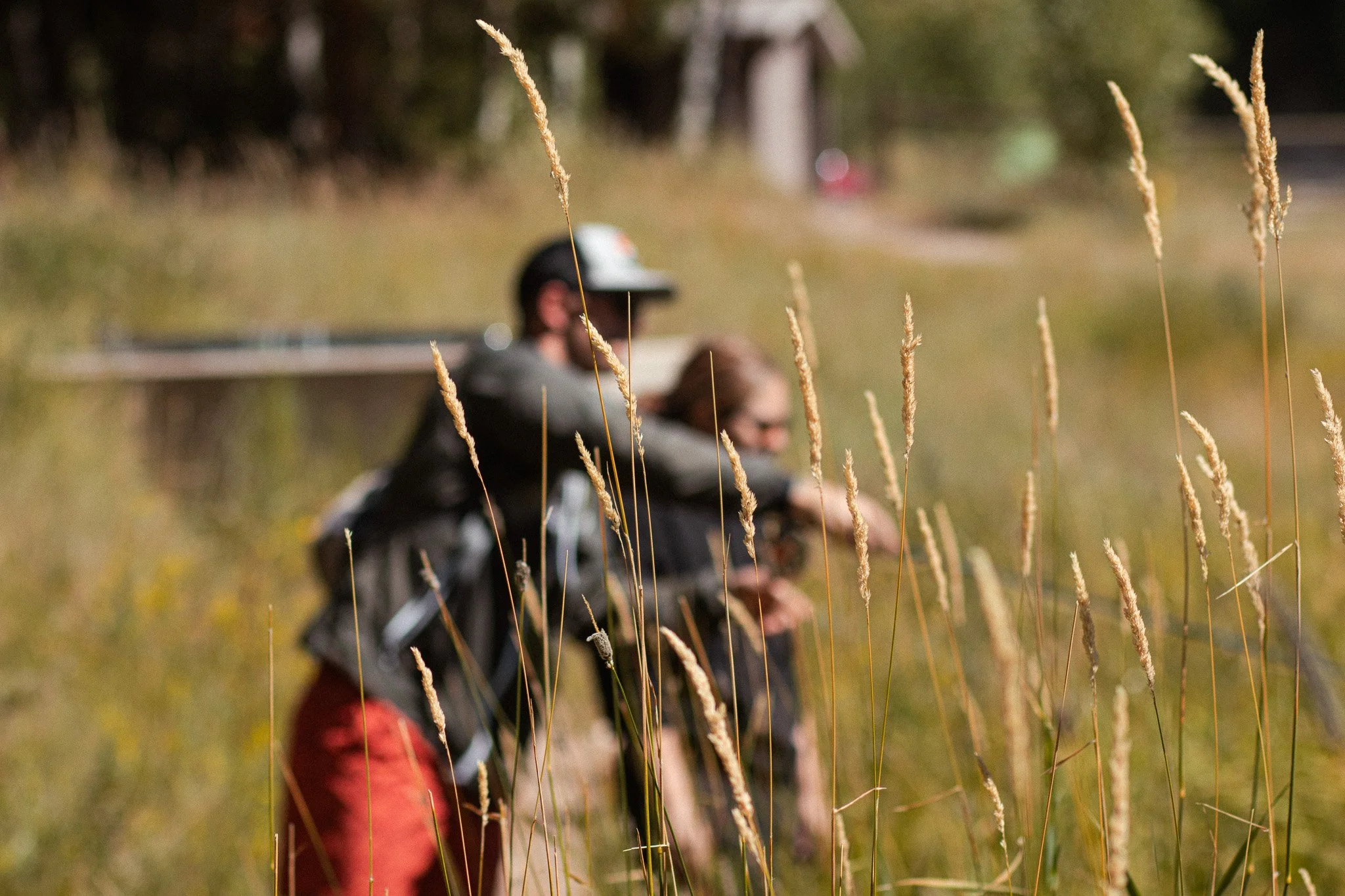 A person teaching another person how to fly fish outside in a grassy field with tall wild grass in the foreground.