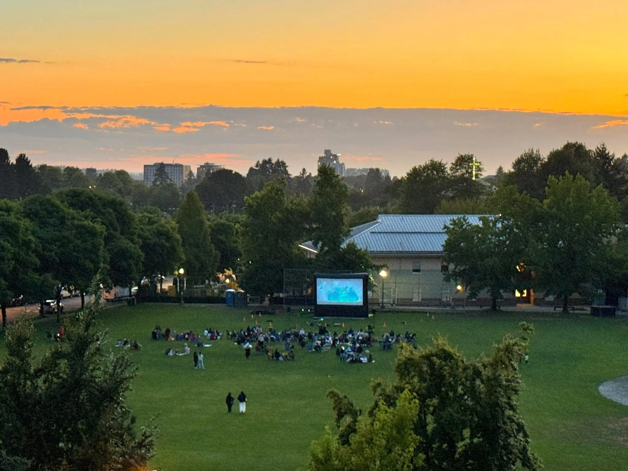 Movie Night at the Park 