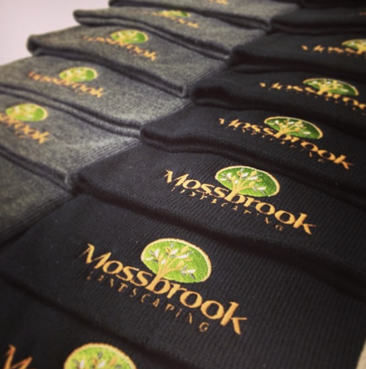 Screen Shot 2024-02-01 at 1.57.02 PM.png