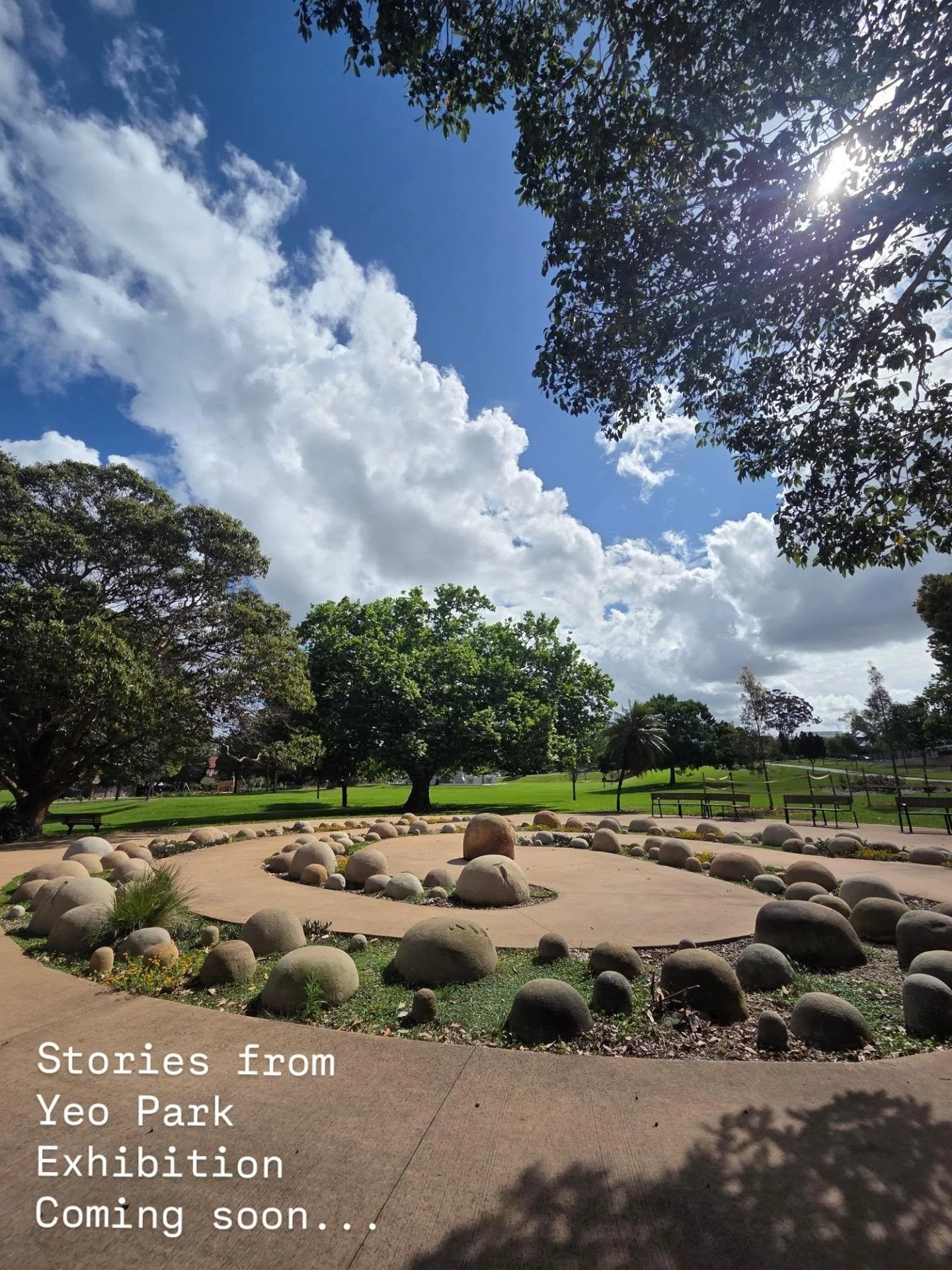 🎨 This exhibition has lived in my imagination 🥰 @picket_fence_illustrations ✨️

✨️ Now I'm manifesting it to life 🙌
Here is a sneak peek 👀 

✍️ I've submitted an application to @innerwestcouncil to "Chrissie Cotter Gallery" 🙌
Stay tune