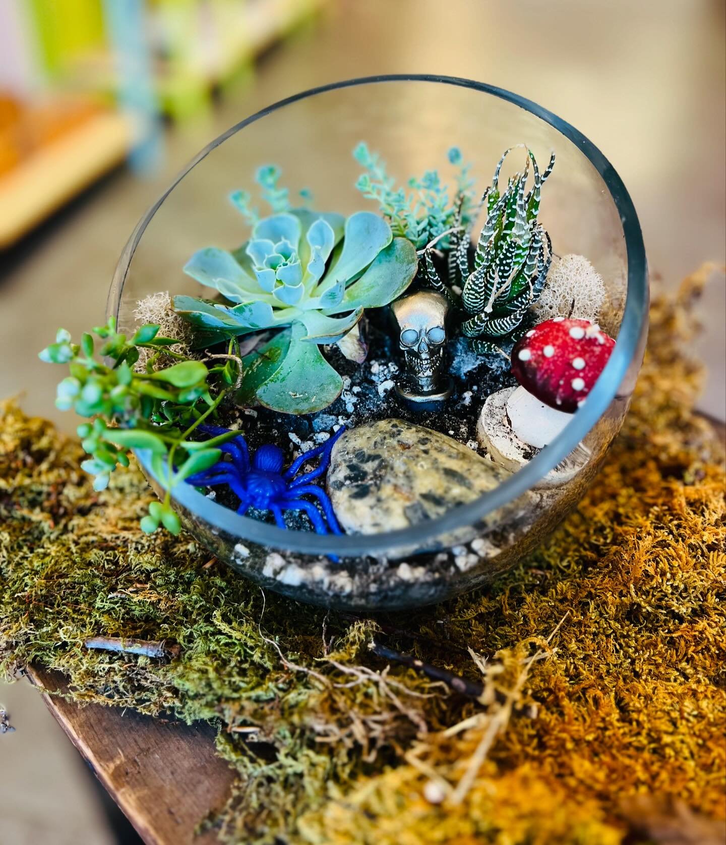 👻🌿 Ready to get spooky and crafty? Join us on Oct 18th from 6-8 PM for a hands-on succulent garden workshop! 🎃 You&rsquo;ll create your own planter with some spooky, festive details to make it perfect for the season. @freshgreenshouseplantdesign 
