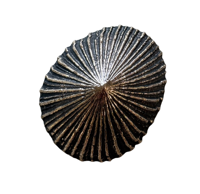 Screenshot 2026-01-02 at 11.08.40 AM-Photoroom.png