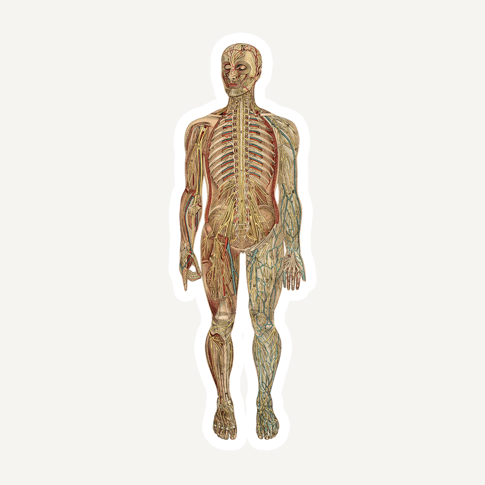 Causes of Illness From Louise Hay