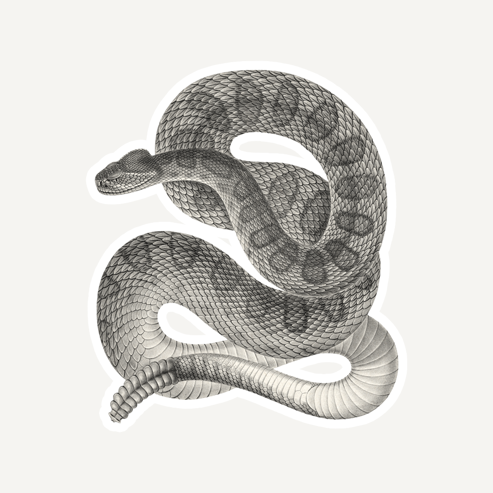 Love notes on Awakening