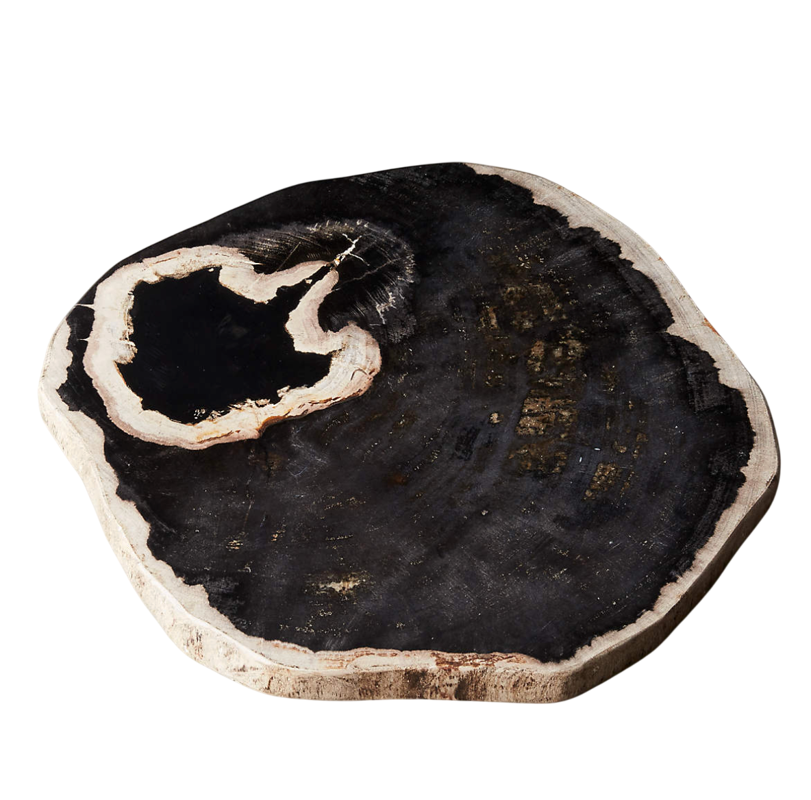 Screenshot 2026-01-05 at 4.36.24 PM-Photoroom.png