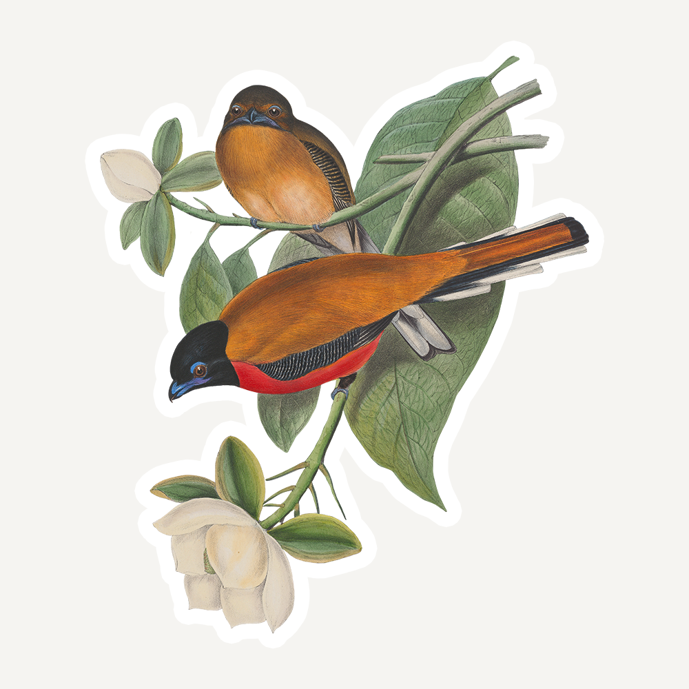 A Message on Peace &amp; Plenty