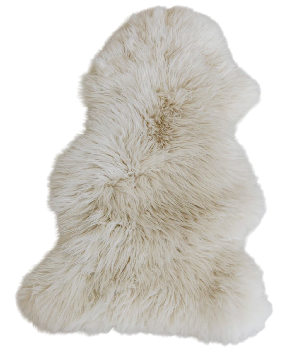 Screenshot 2026-01-01 at 10.30.17 PM-Photoroom.png