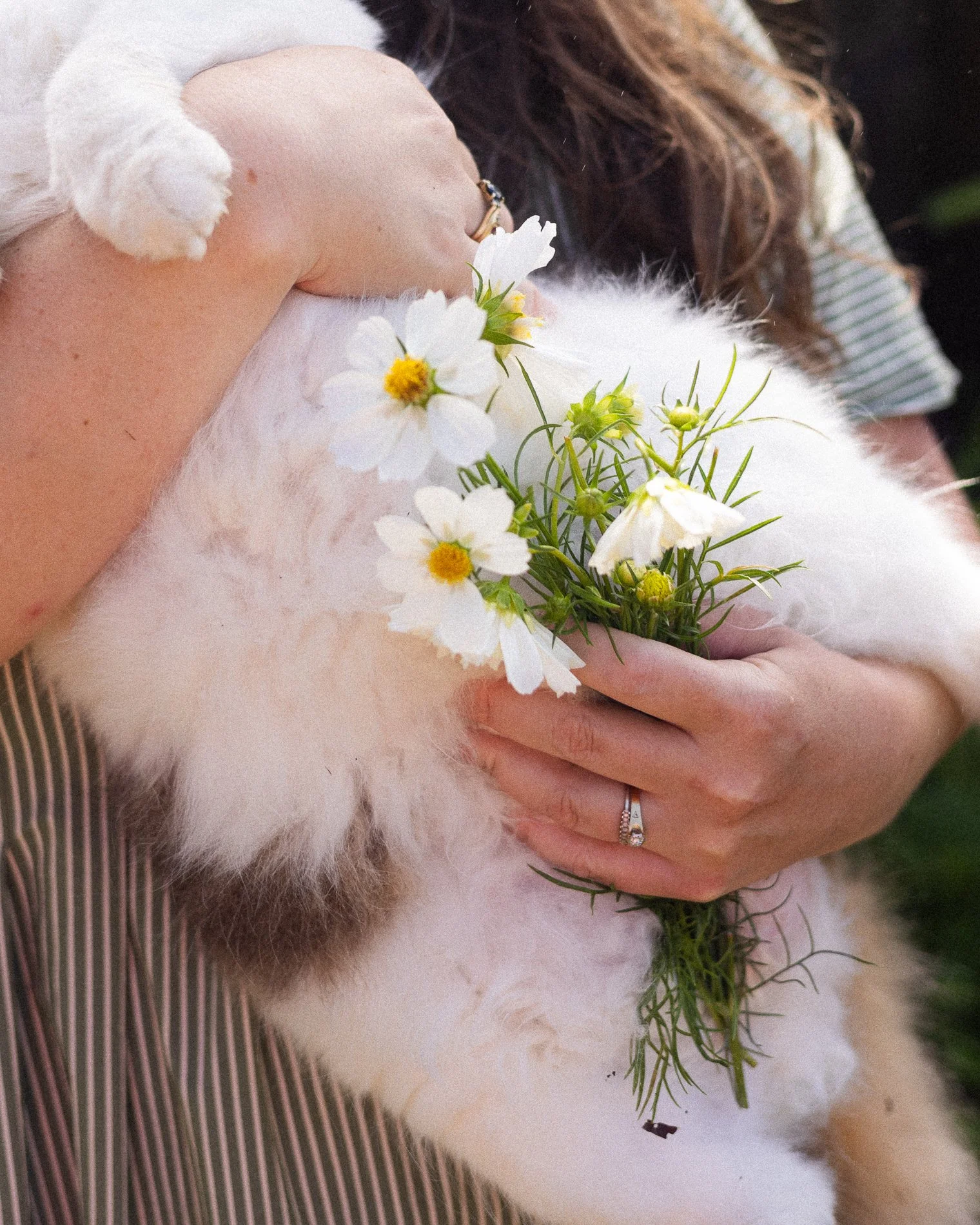 nadine_backyard_blooms-057.jpg