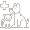 Pet Injury Cover
