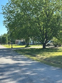 IMG_3440.JPG