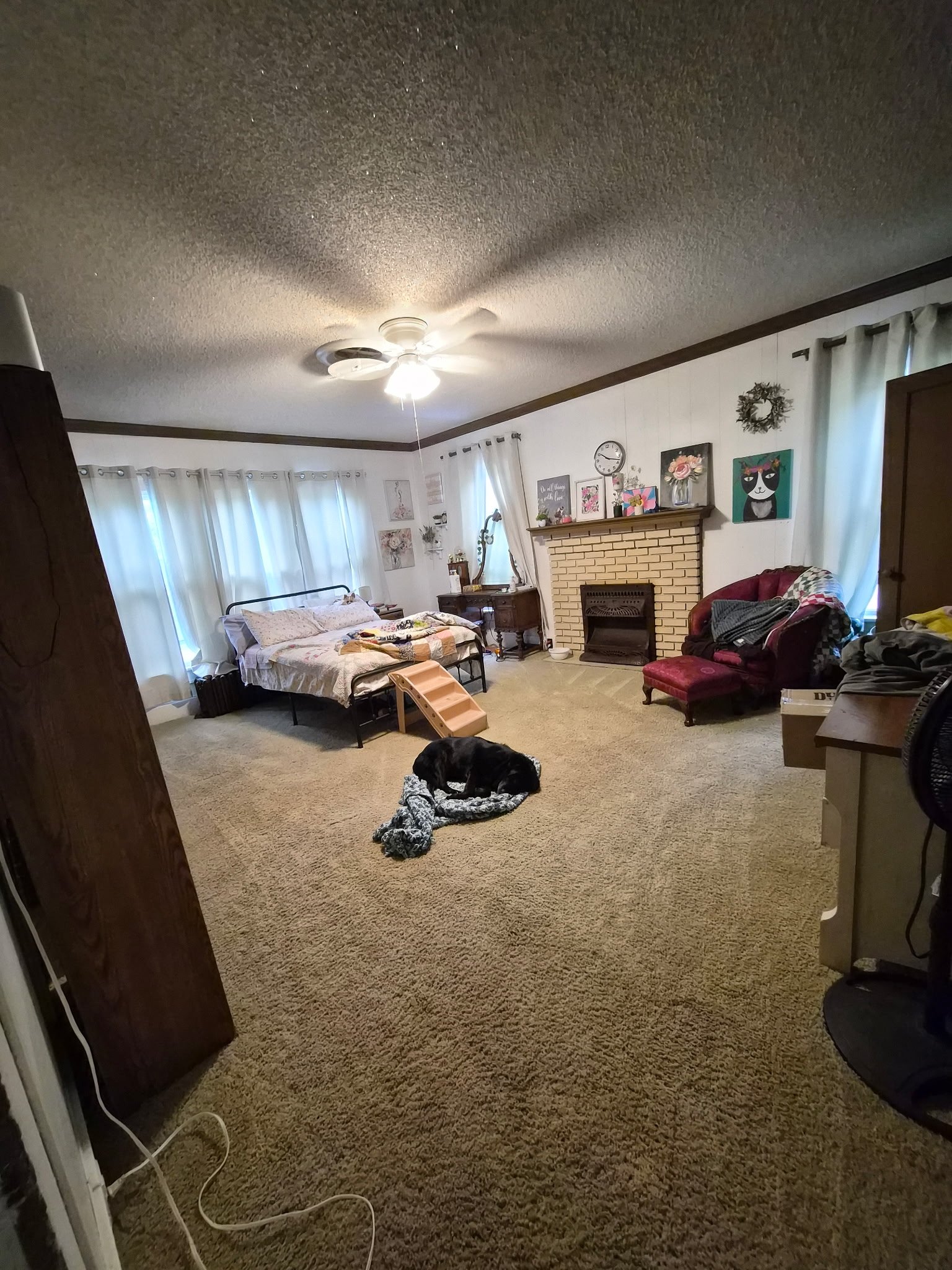 IMG_20260428_181154.jpg