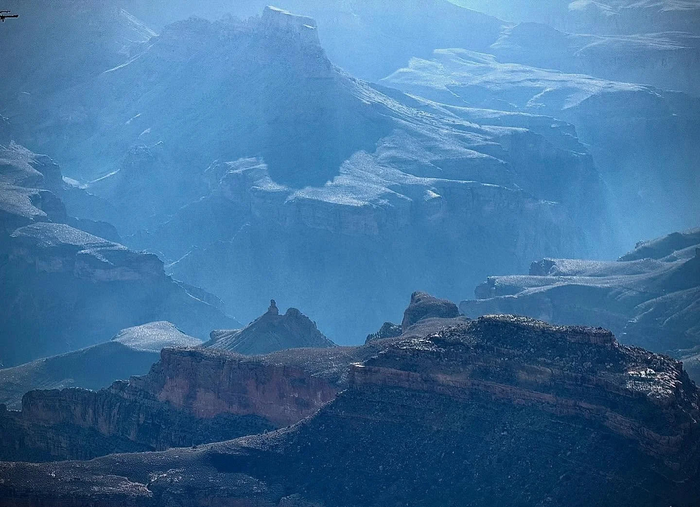 2026 S2S EcoRecon Expedition site-visit scoping mission continued…. Grand Canyon National Park 
#operationarizona #AZ #arizona #s2secoreconexpeditions #grandcanyon #southrim #nationalparks #grandcanyonnationalpark #mountainbluebird #twotailed
