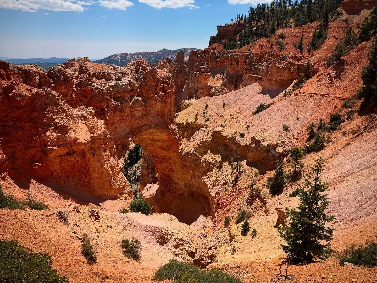 Bryce Canyon National Park ποΈ
One of my favorites, and an exciting prospect!
S2S EcoRecon Expeditions are opportunities for 
veterans to work with scientists at national parks ποΈ 
These extended trips provide participants with a memorable outdoo