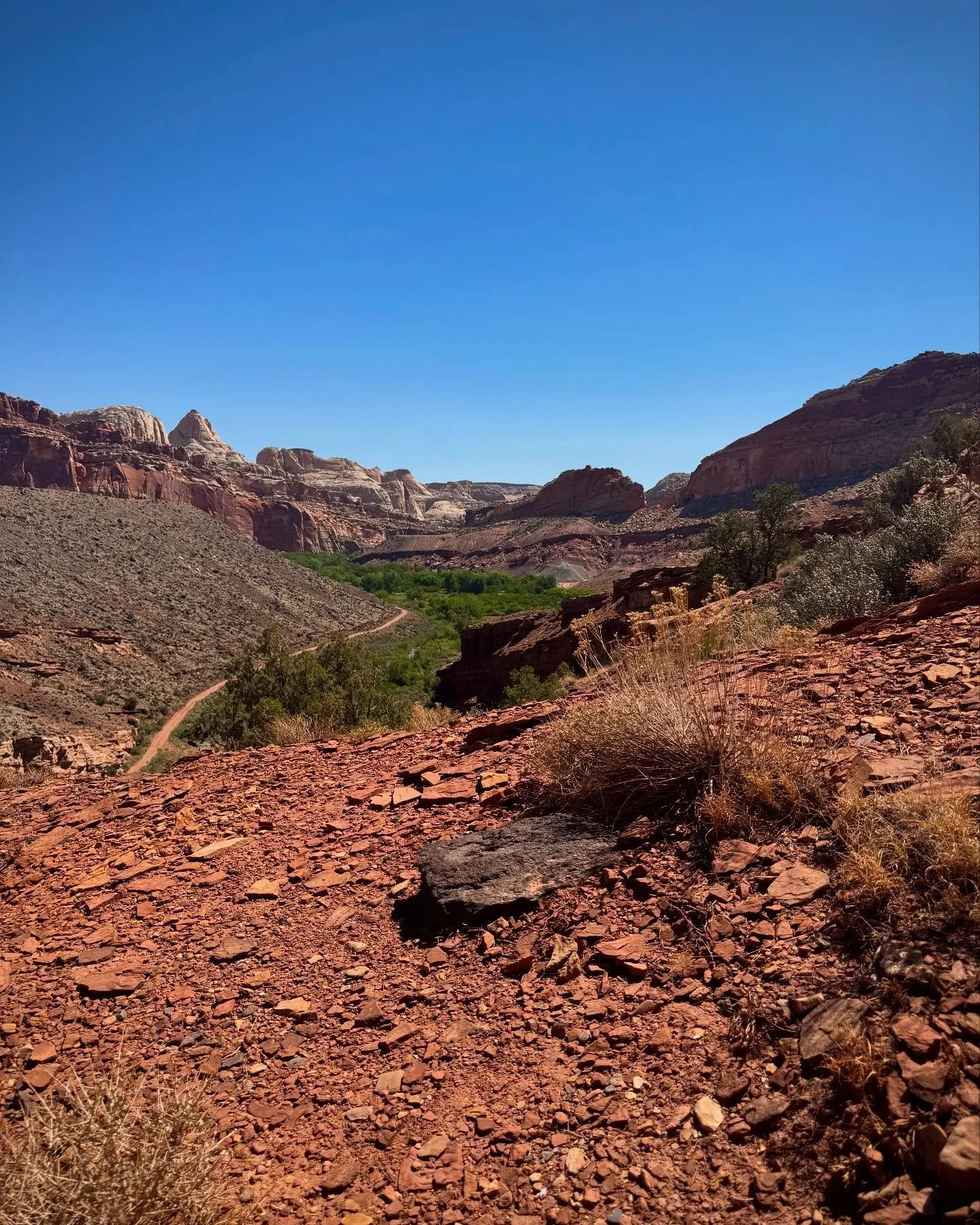 Capitol Reef National Park π
A bit of an unsung hidden gem. 
The hiking and Fremont River Trail is π
One of the unique features this park boasts is very clean air, but opportunities for citizen science and to assist data collection in the park a
