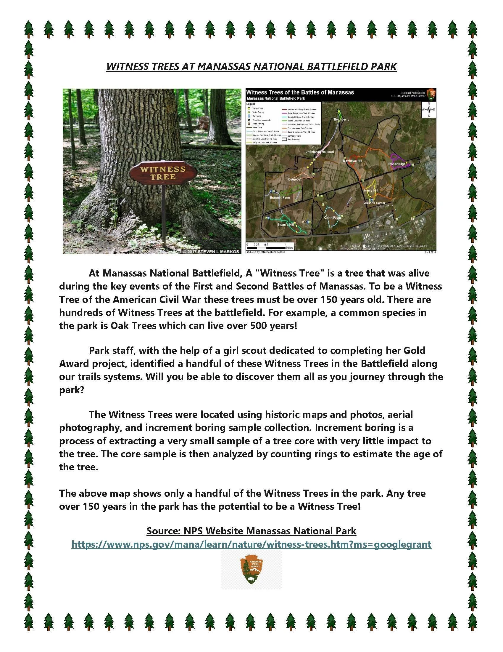 Witness Tree at Chinn Ridge - WItness Tree Description.pdf.jpg