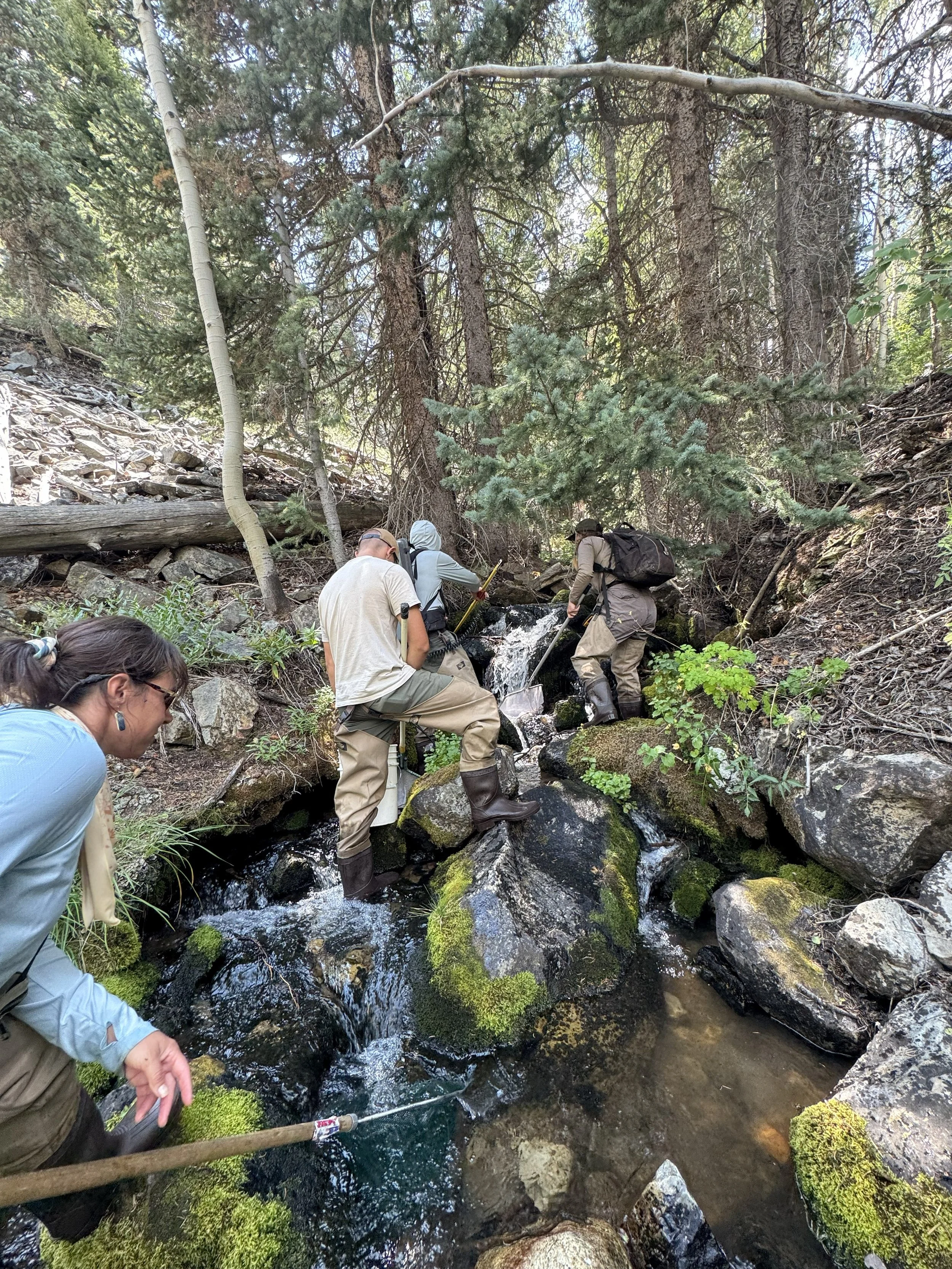 S2S partners with Team RWB for 2026 Great Basin EcoRecon Expedition!