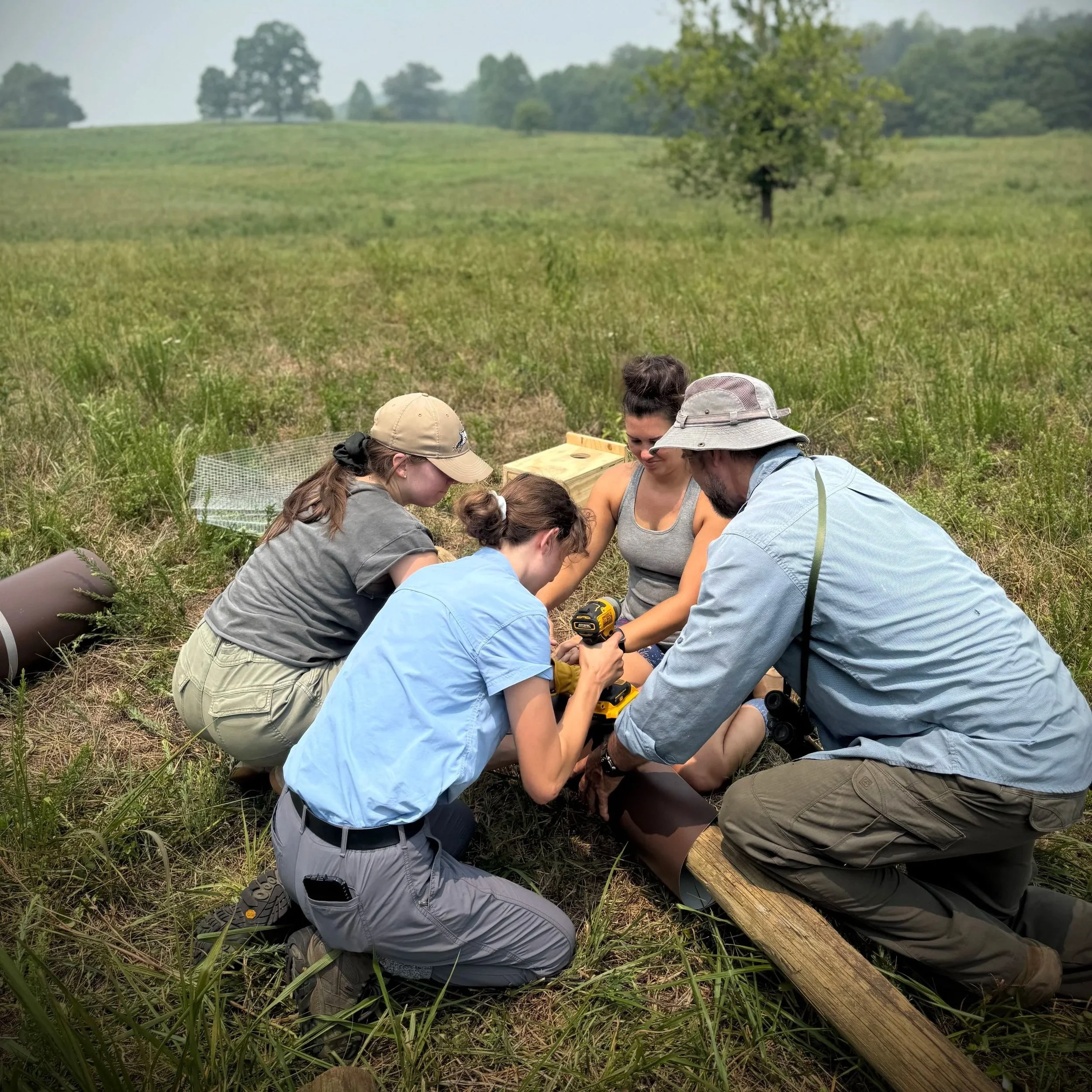 S2S installs new nestboxes at Thistlerock Mead Company in Charlottesville, VA!