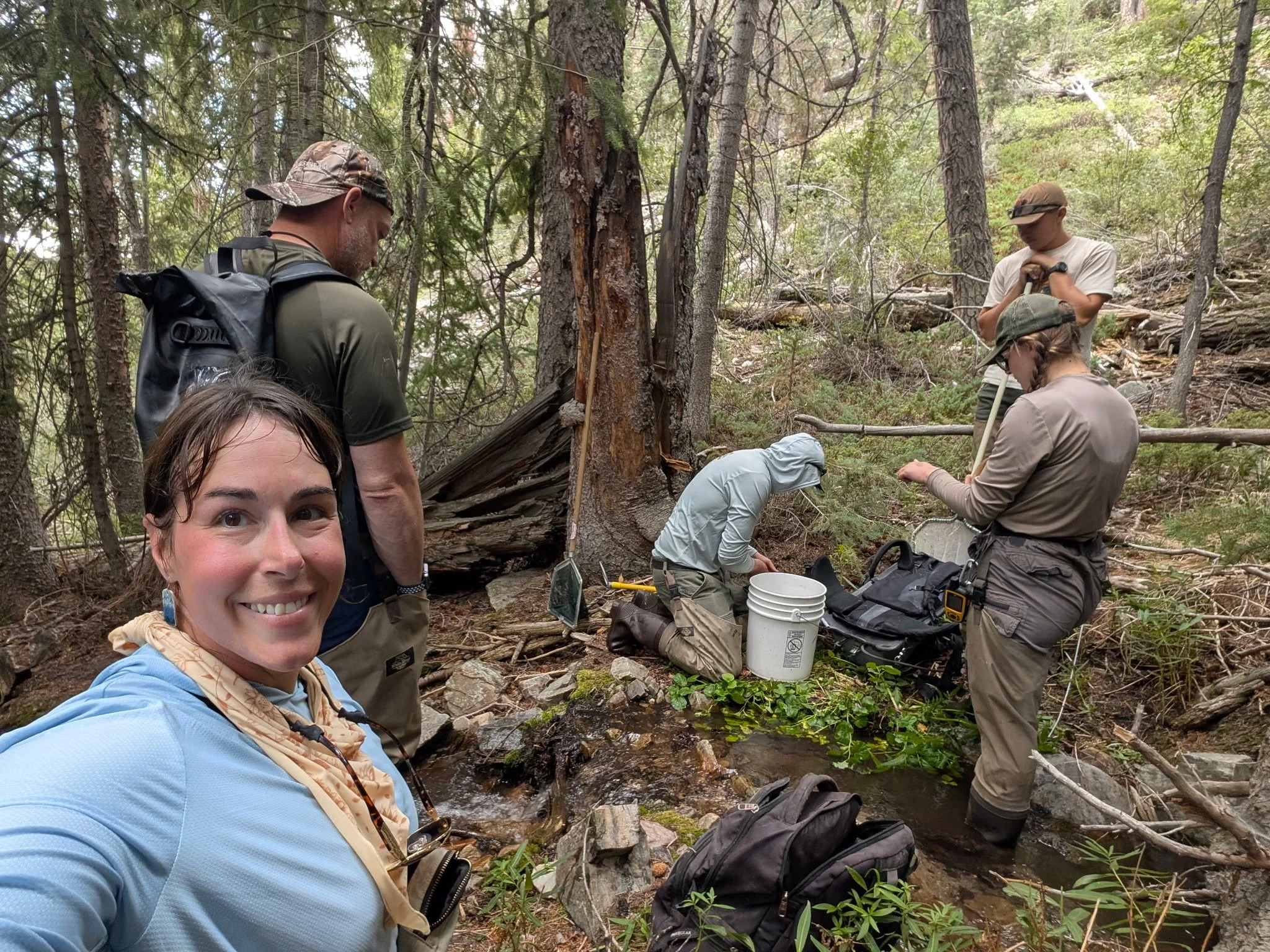 S2S and National Park Biologists continue Electrofishing Research at Great Basin National Park - Summer 2026!