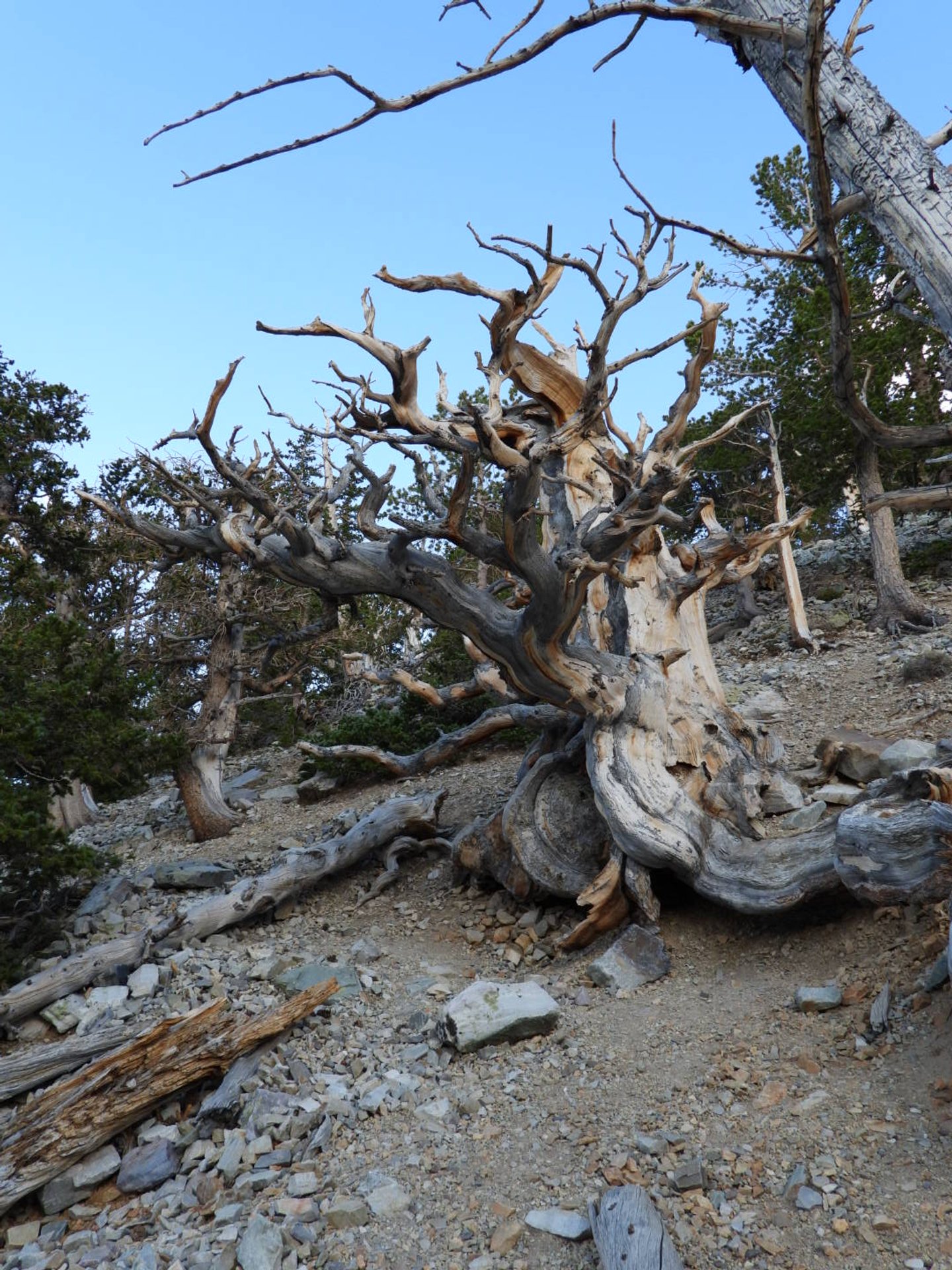 DSCN2816.JPG