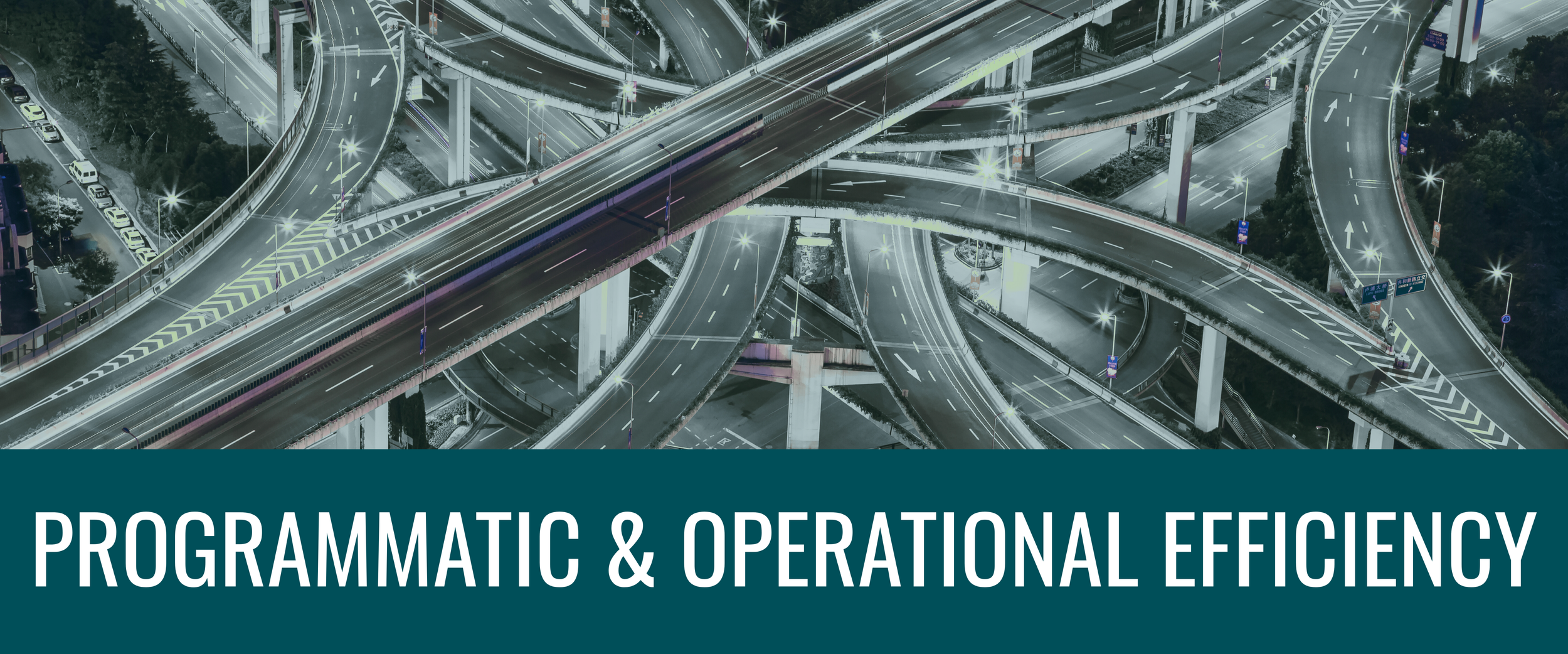 Programmatic and Operational Efficiency.png