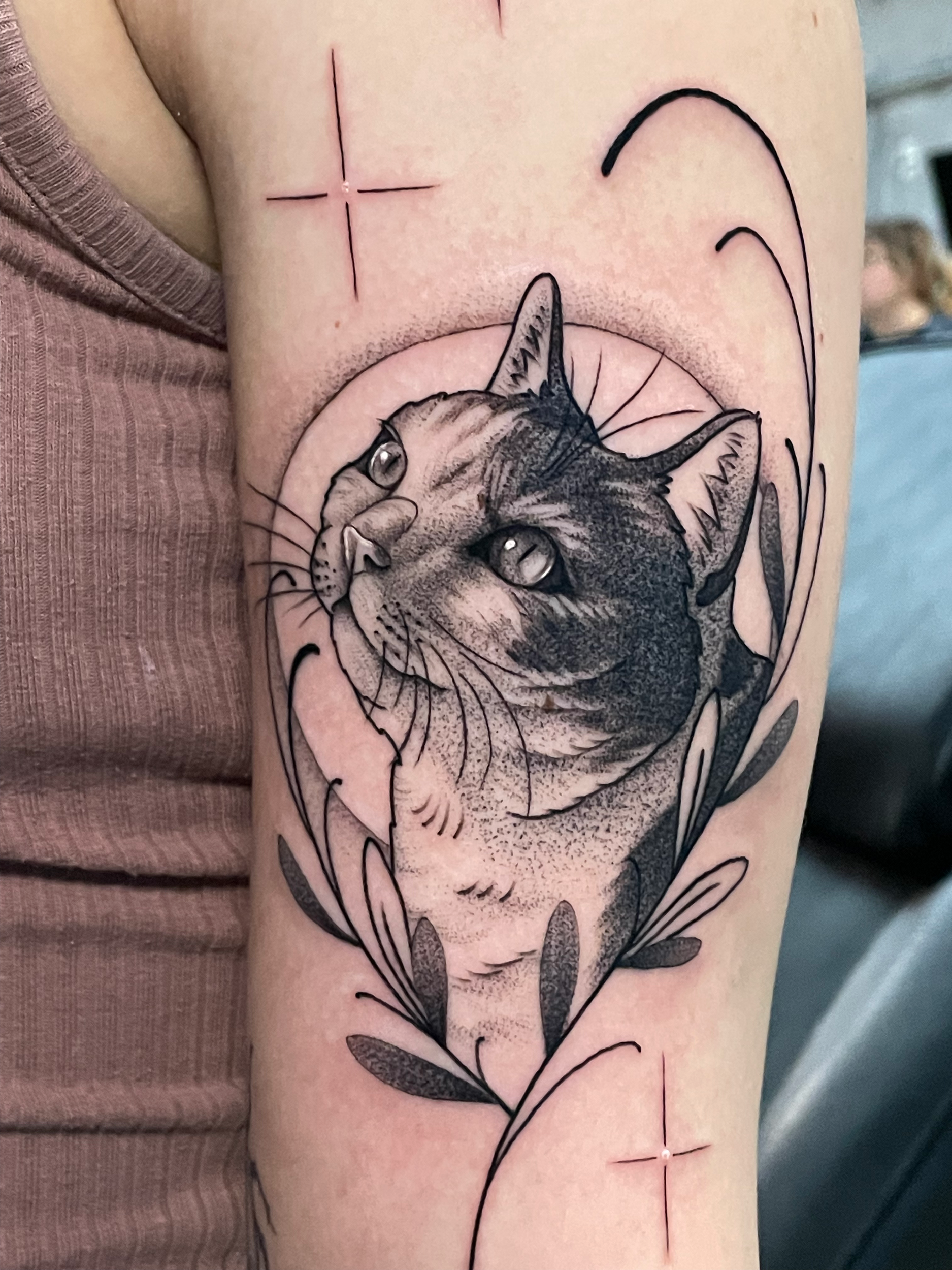 cat tattoo with stars black and grey