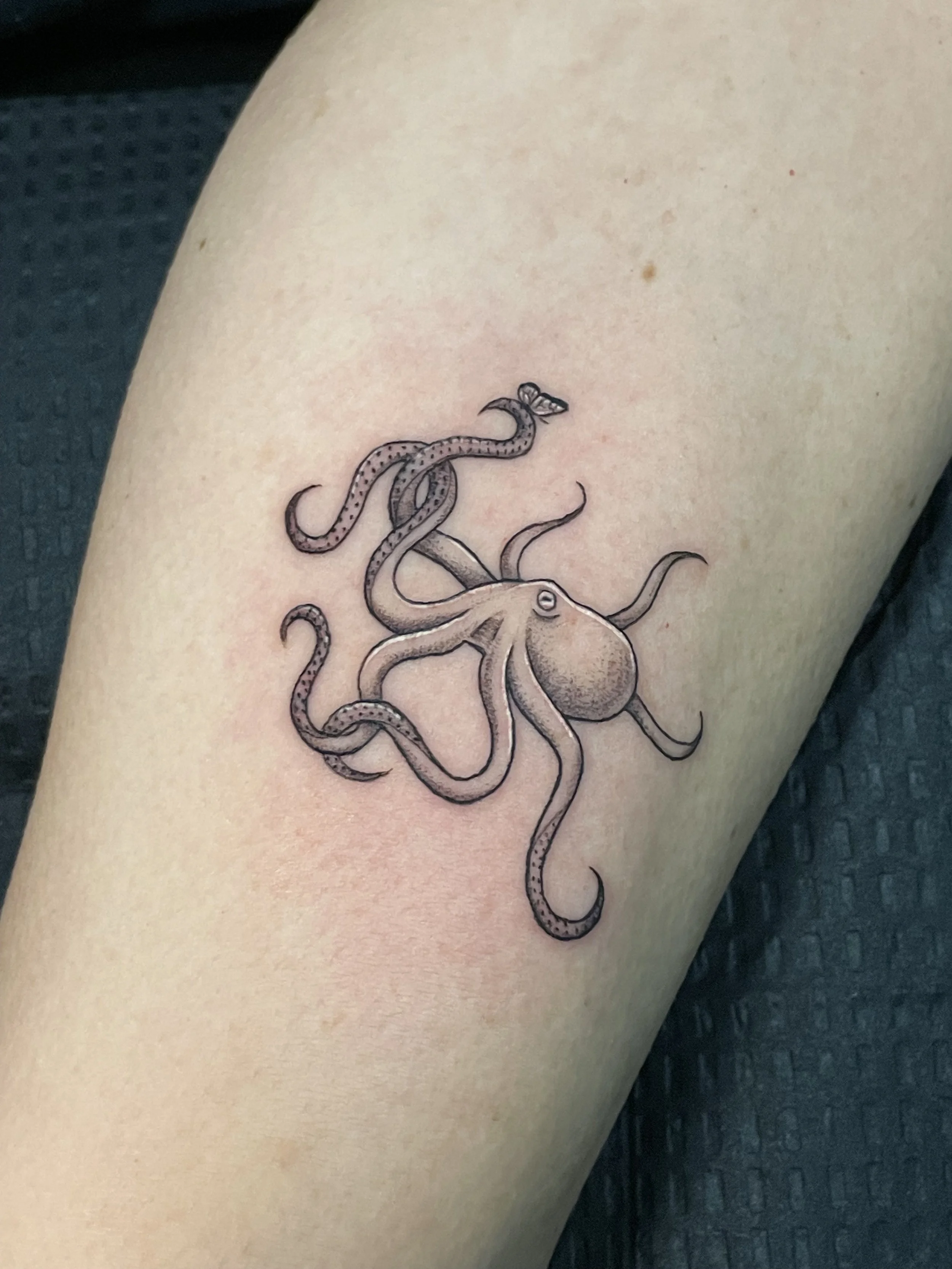 octopus with butterfly tattoo
