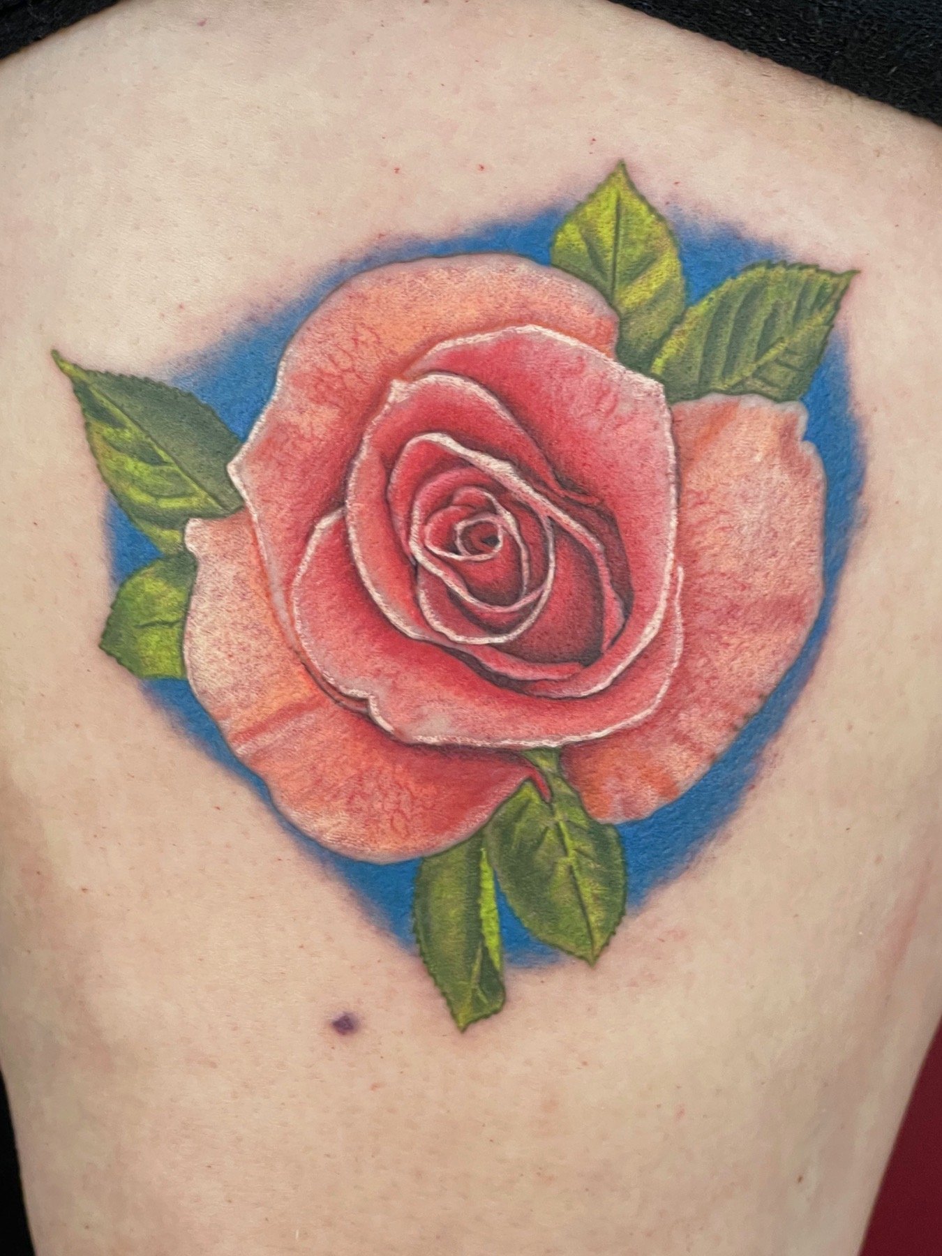 rose tattoo