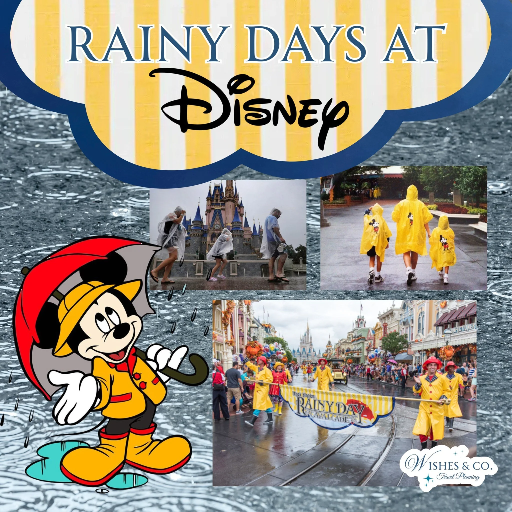 Rainy day at Disney? 🌧️It&rsquo;s still better than any rainy days stuck at home!  Rainy days at the parks can actually make your trip better! 

☔ Shorter wait times at rides
🎢 Cooler temperatures (no Florida heat!)
📸 Fewer crowds for great photos