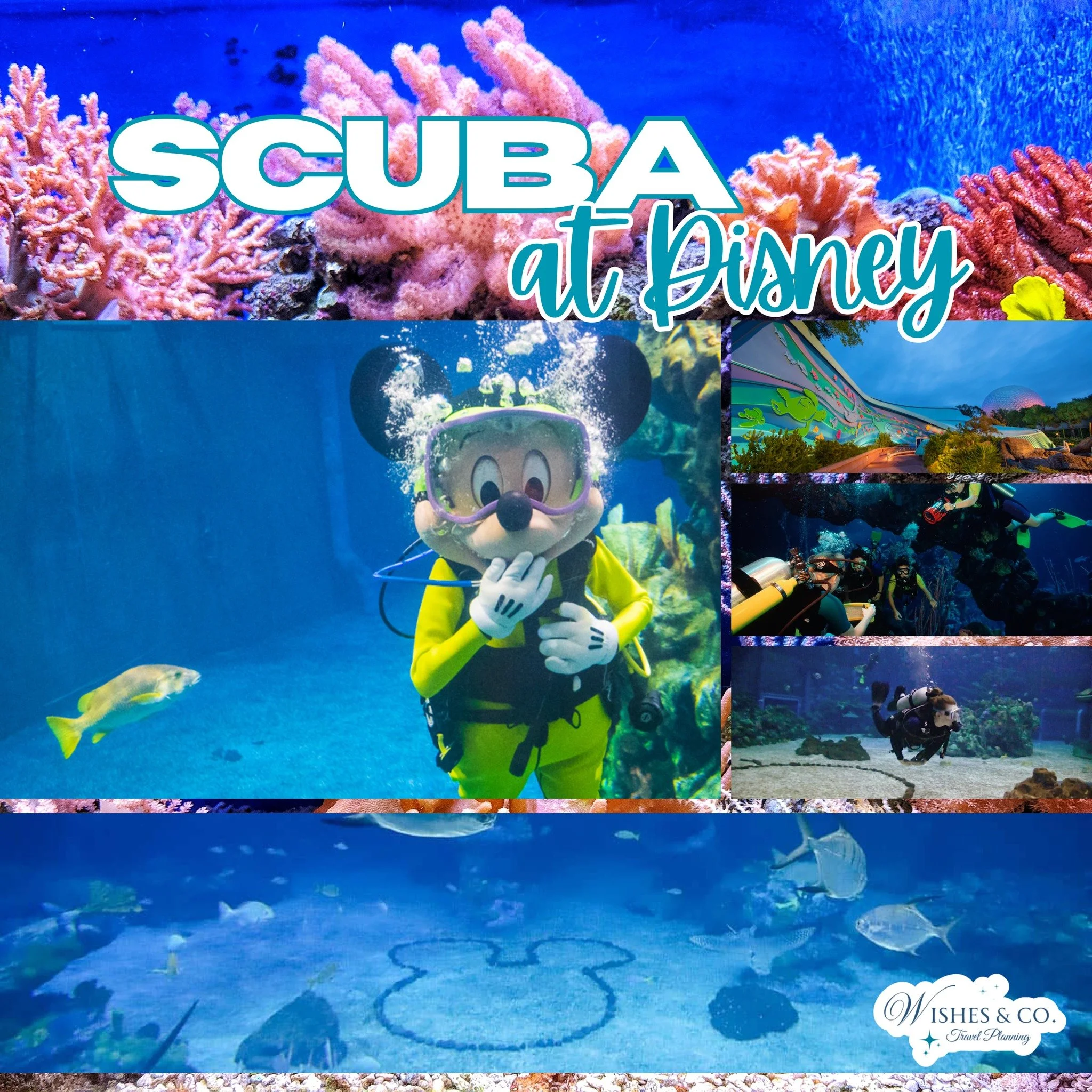 Did you know you can scuba dive right inside EPCOT&rsquo;s Living Seas Pavilion? This unique experience lets you swim with hundreds of sea creatures in the massive aquarium guests see from the ride and restaurant above! It&rsquo;s one of those unforg