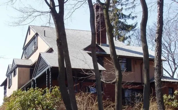 Where forests work harder