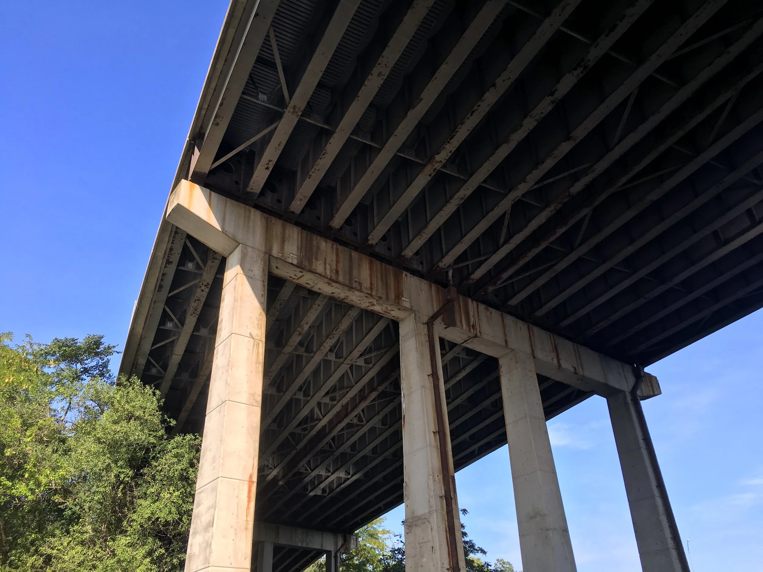 Introducing The Nature We Make