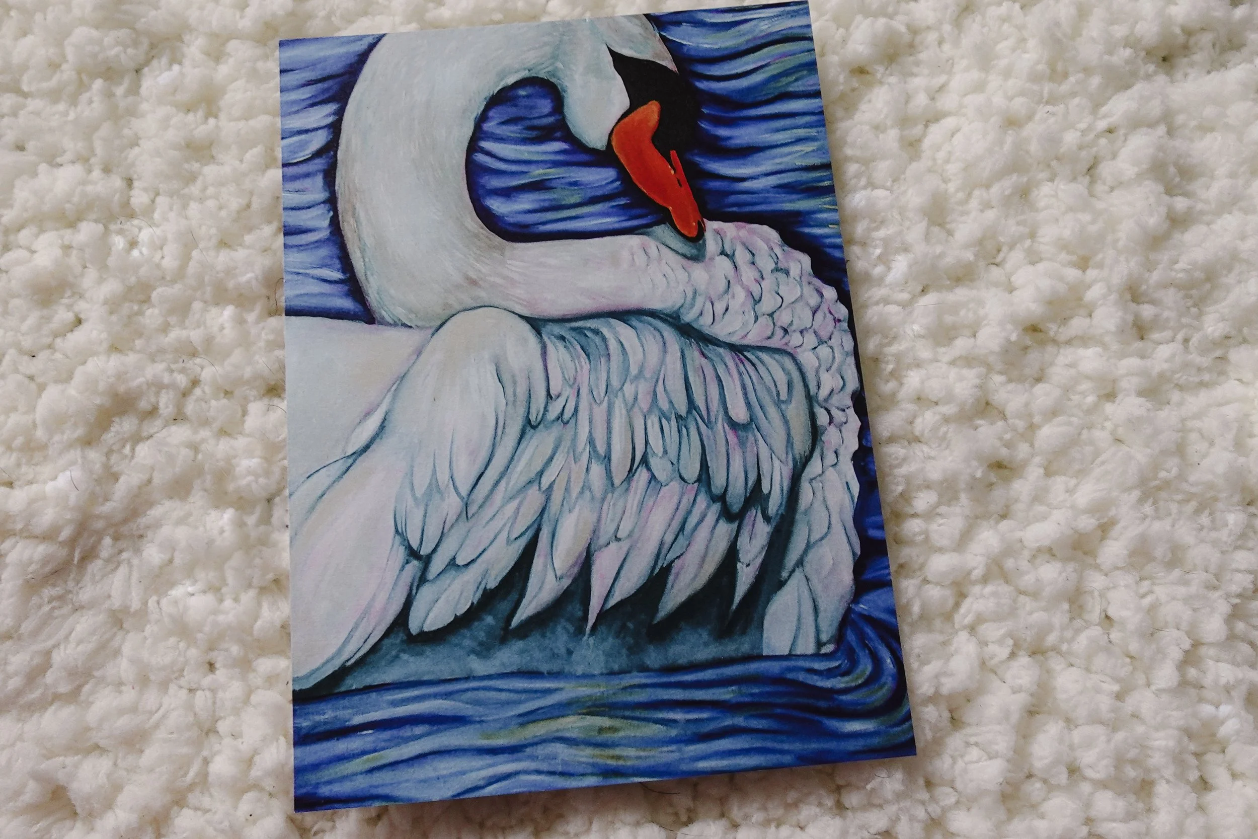 Lake Eola Swan Art Print