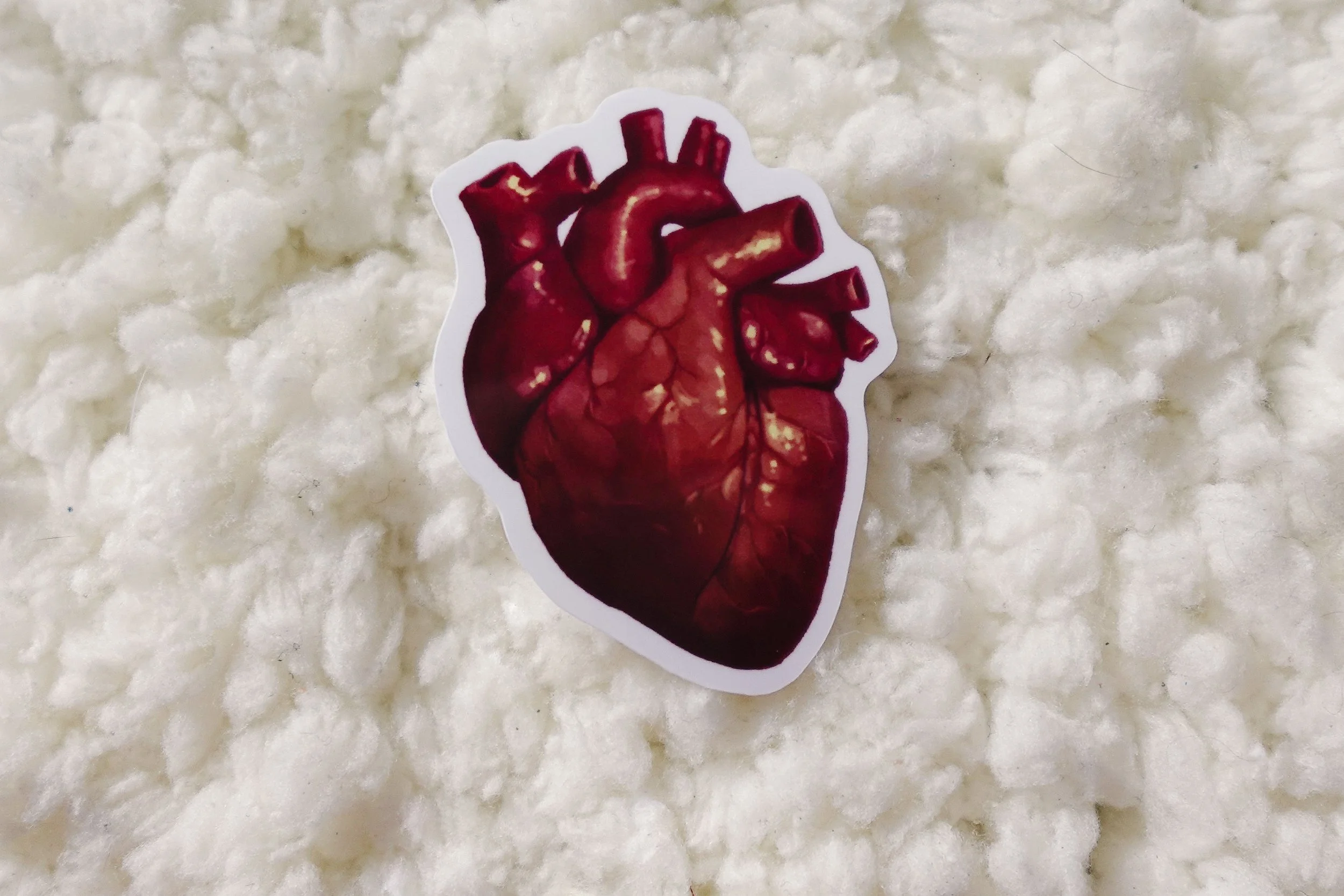 Anatomical Heart Sticker