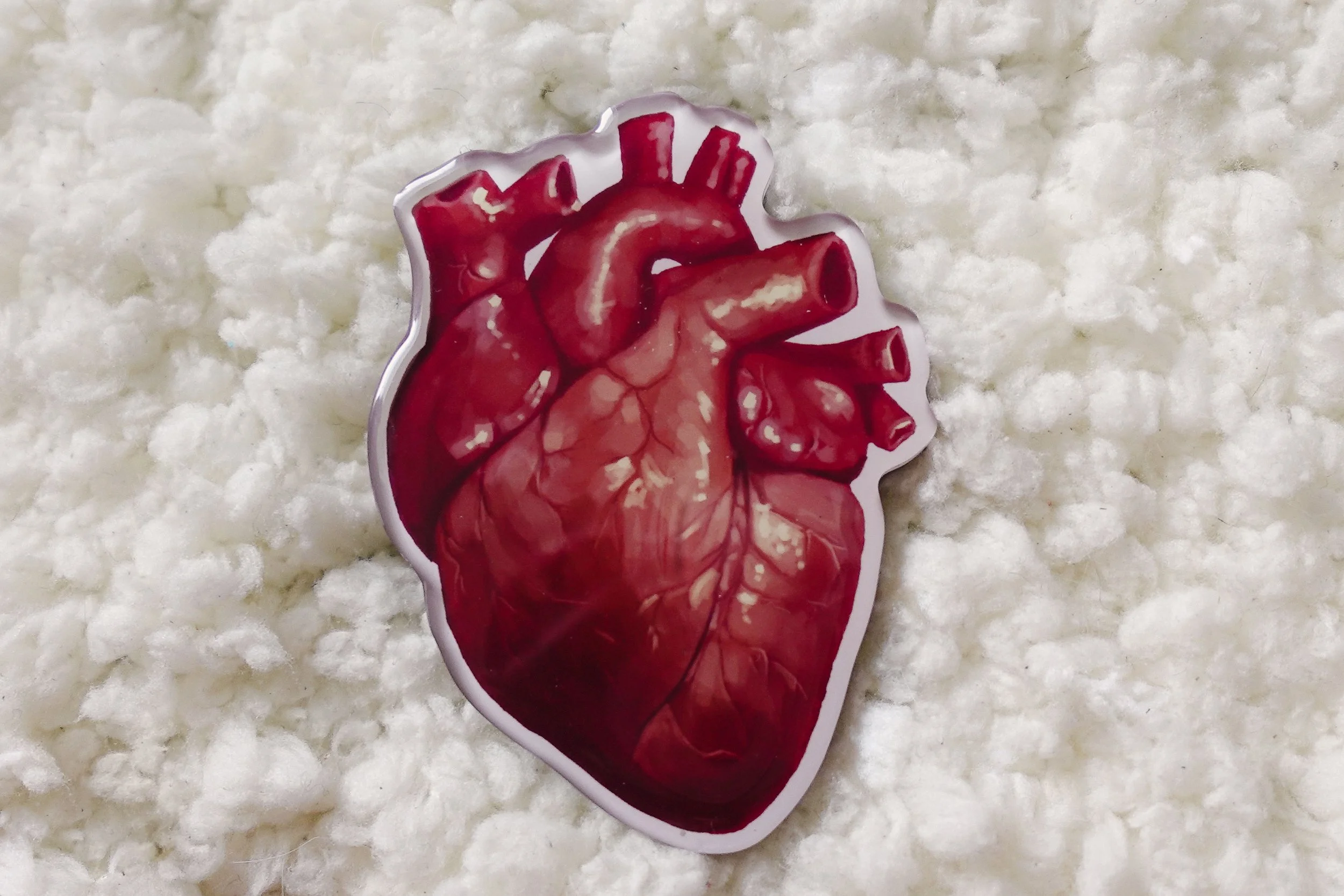 Anatomically Correct Heart Fridge Magnet