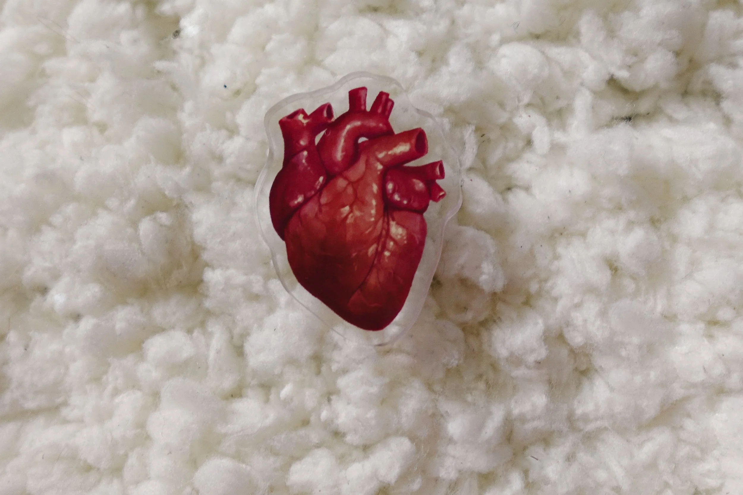 Anatomically Correct Heart Pin