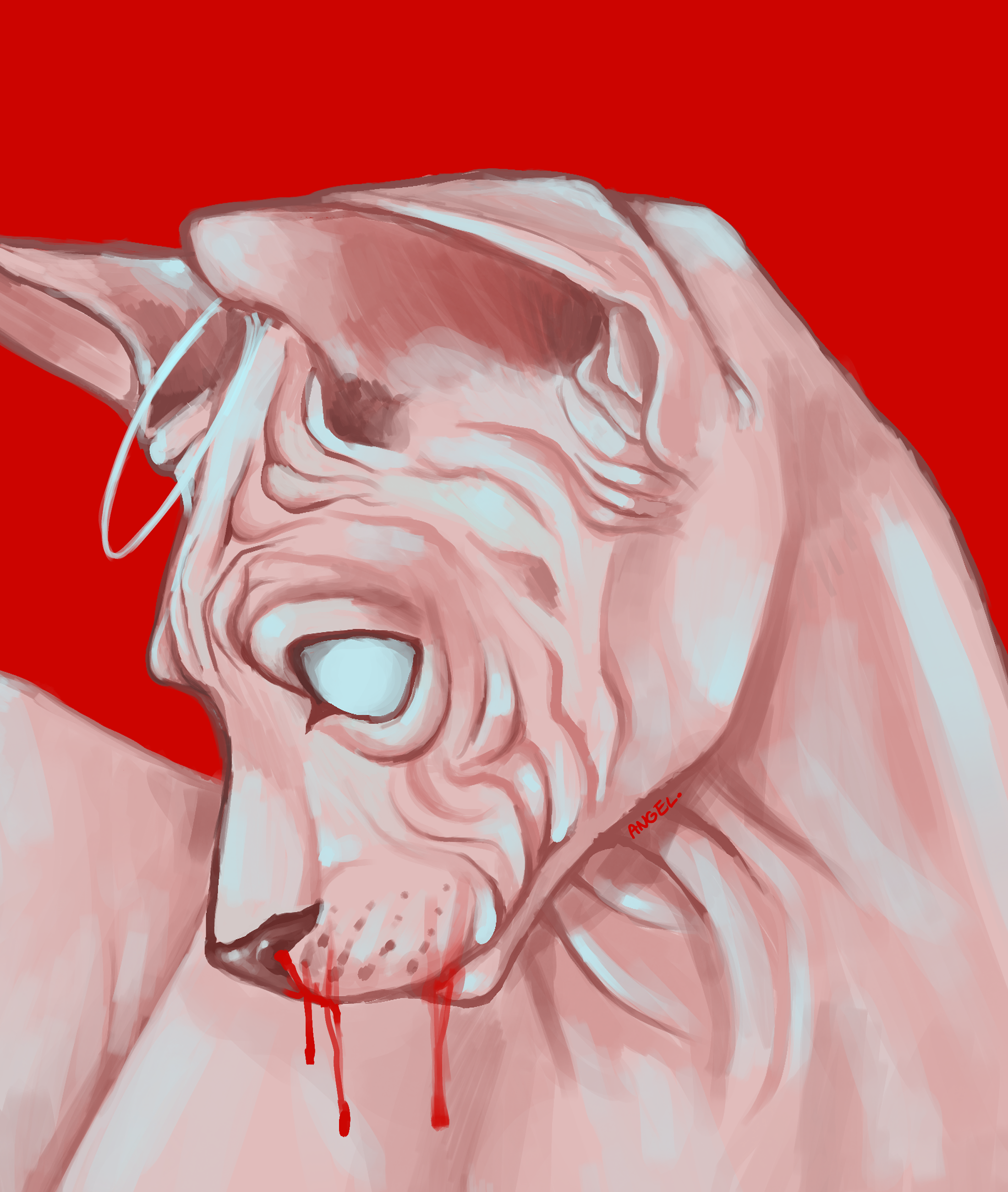 haiirless.png