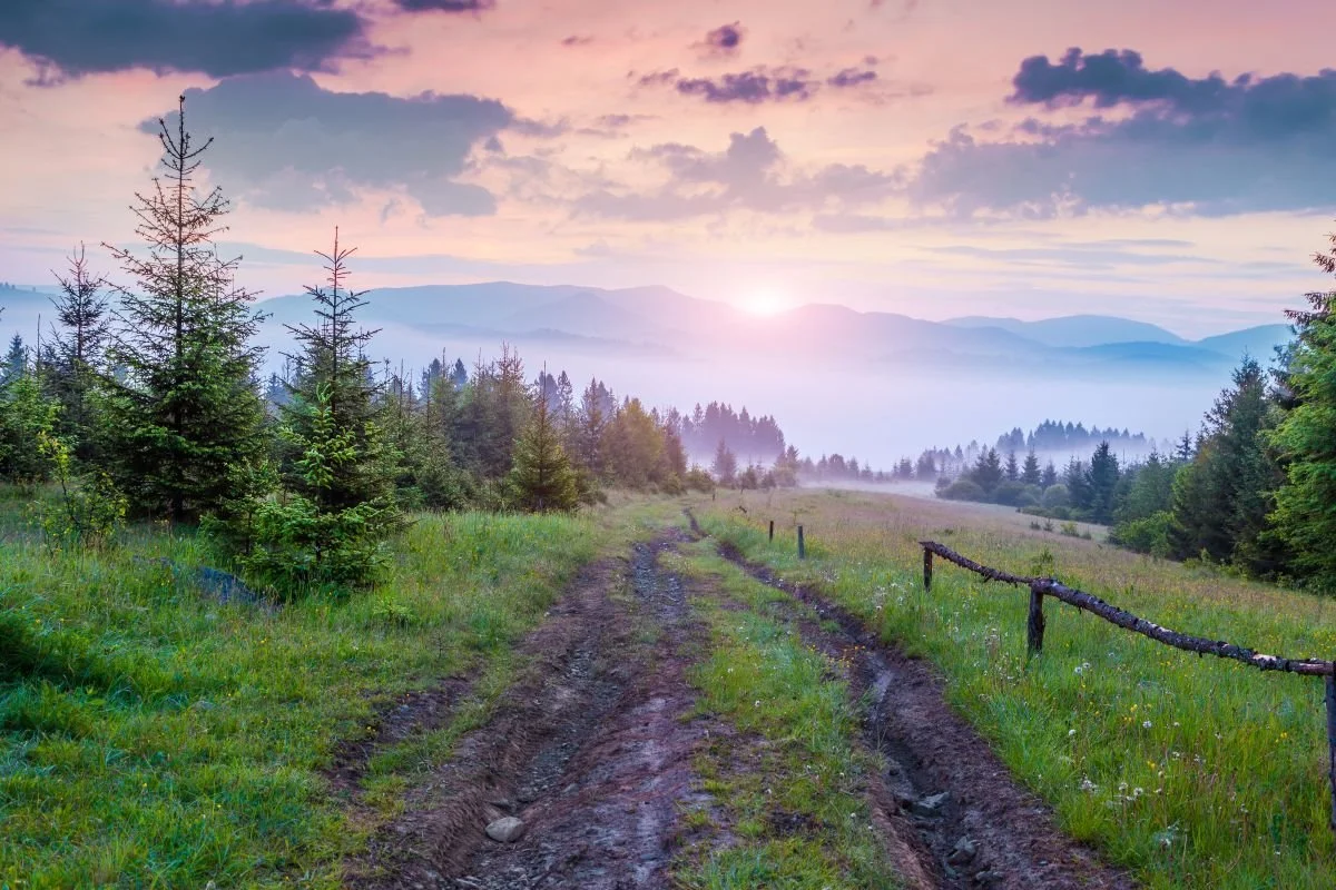 Muddy trail with a distant mountain sunset. With nervous system activation you may experience mental replay and troubles with social processing. In some holistic modalities this is an indication of similar unprocessed experiences.