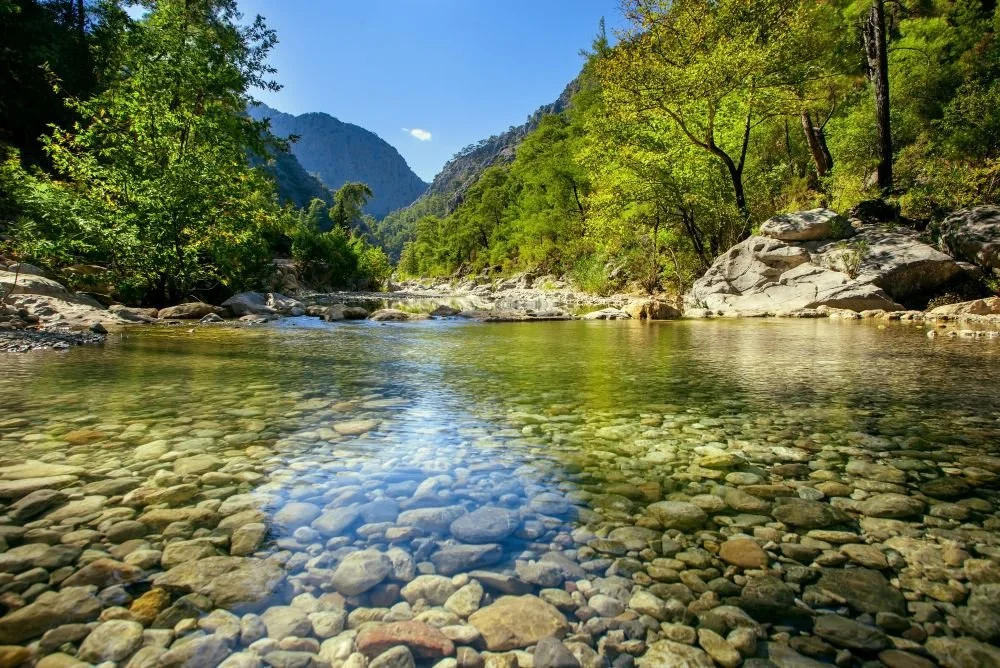 Calm mountain river. In-person and distance healing sessions provide a space for you to reconnect with the parts of yourself that you have hidden away to keep them safe. Explore the freedom of setting them free.