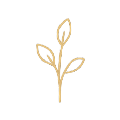 Gold leaf, intuitive life coaching symbol. In the coaching space we'll implement mindfulness, emotional intelligence, mindsight,  somatic techniques, and core energy awareness so that you begin moving from your center.