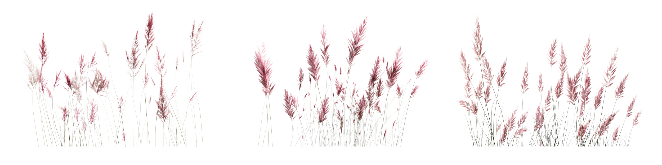 Purple Wheat Field. Shift from the easy button to curiosity and wonder. You didn't get here over night so it takes time and commitment to reveal your gifts and wisdom hidden under your pain.