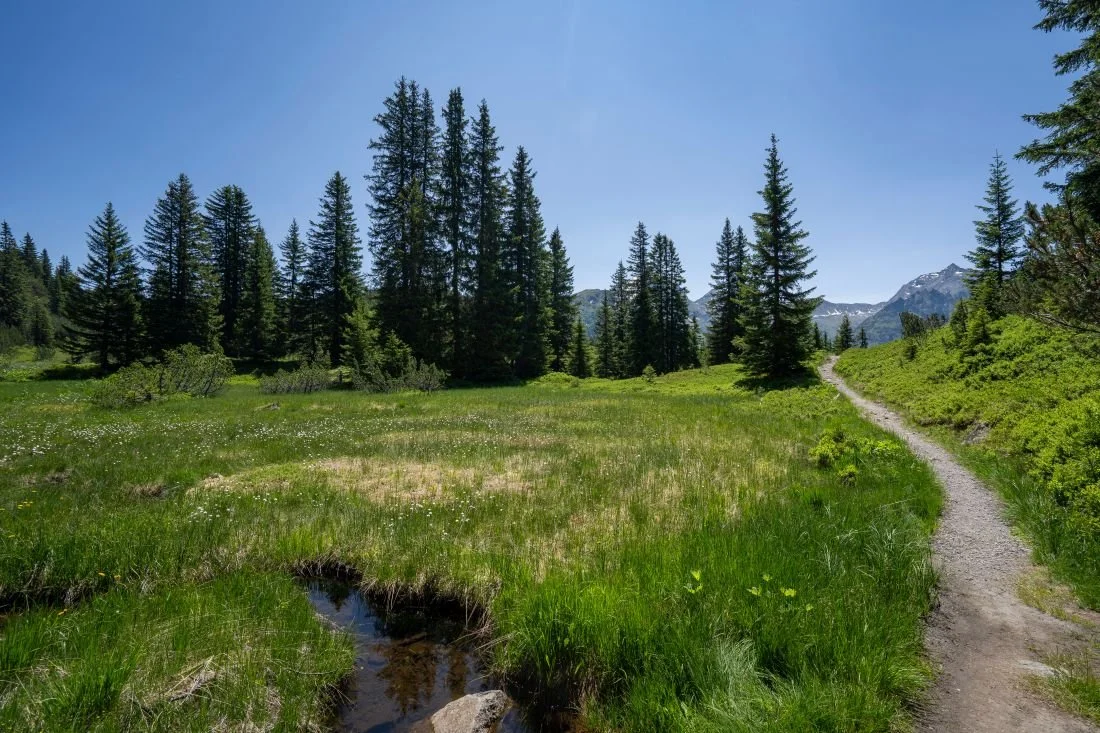 Mountain path, blue sky. Emotional release and core energy awareness are a couple of the techniques used to align you on your path to wholeness.