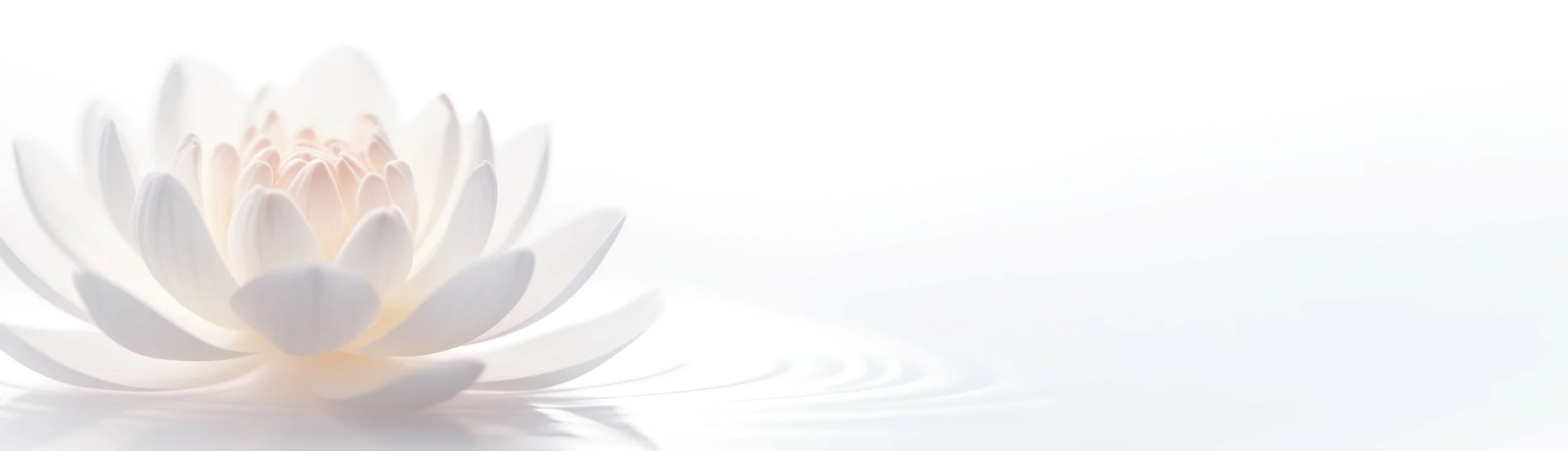 White lotus. Inner Wisdom Intuitive Somatic Energy Healing Sessions & Holistic Coaching with certified practitioner Sarah, Bozeman, MT, for holistic health & wellness. Embrace & live your truth.