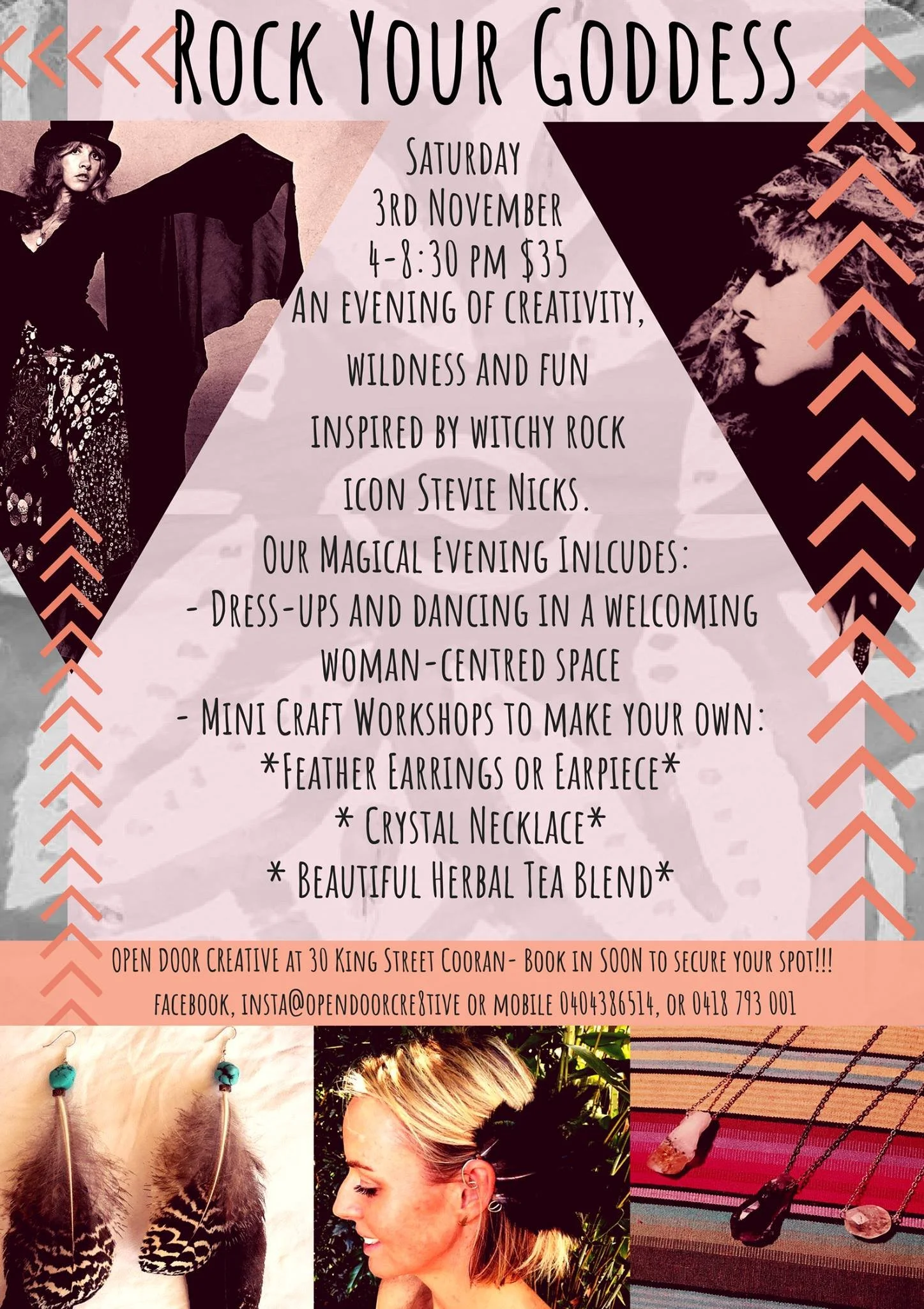 stevie nicks workshop.jpeg