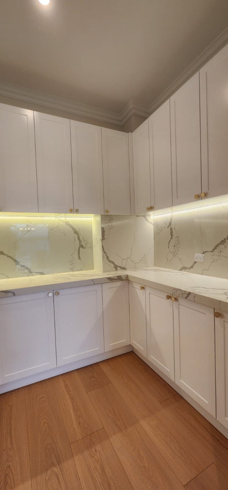 WhatsApp Image 2025-03-01 at 10.42.45 AM.jpeg