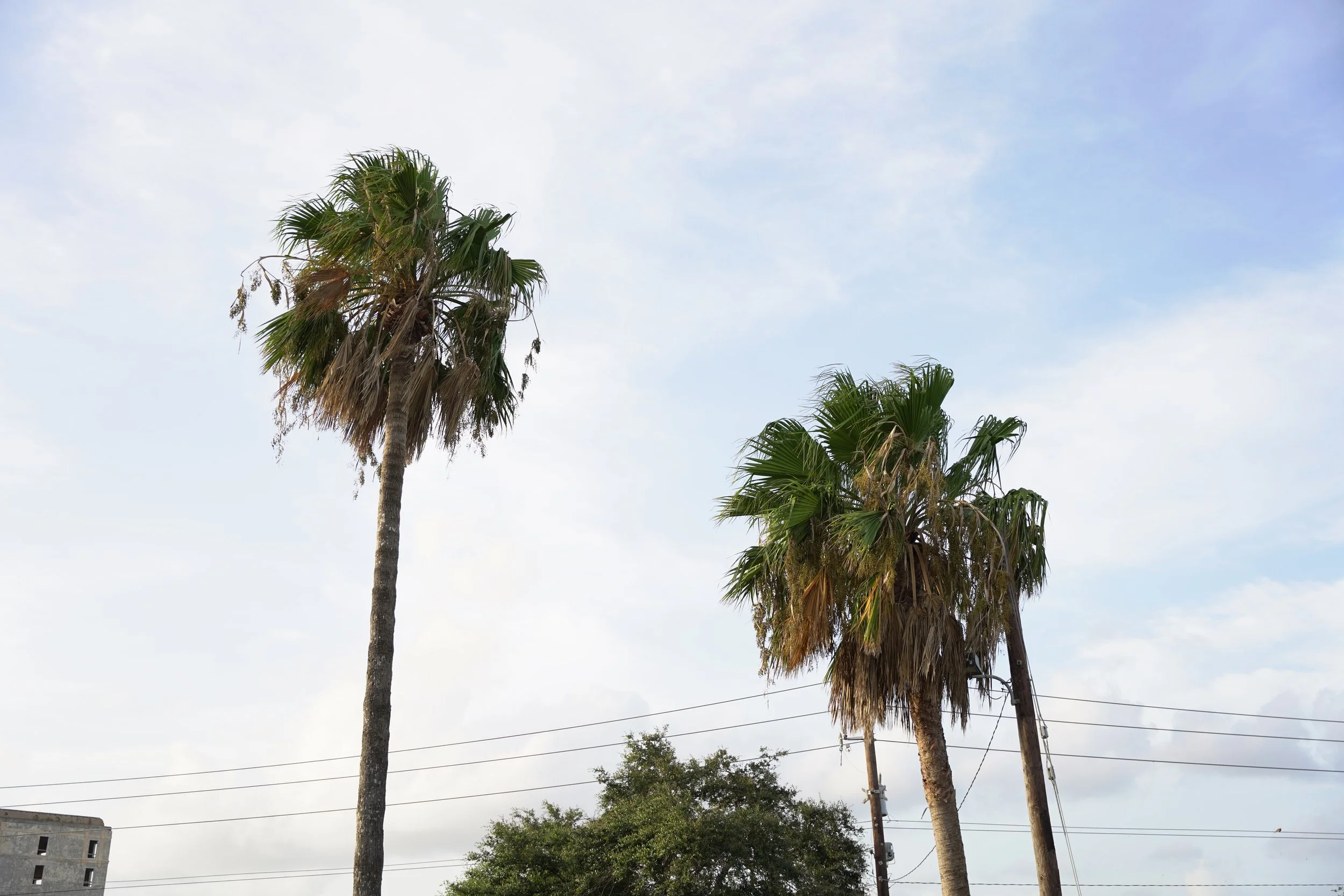 Near Gateway International Bridge System (US Side)