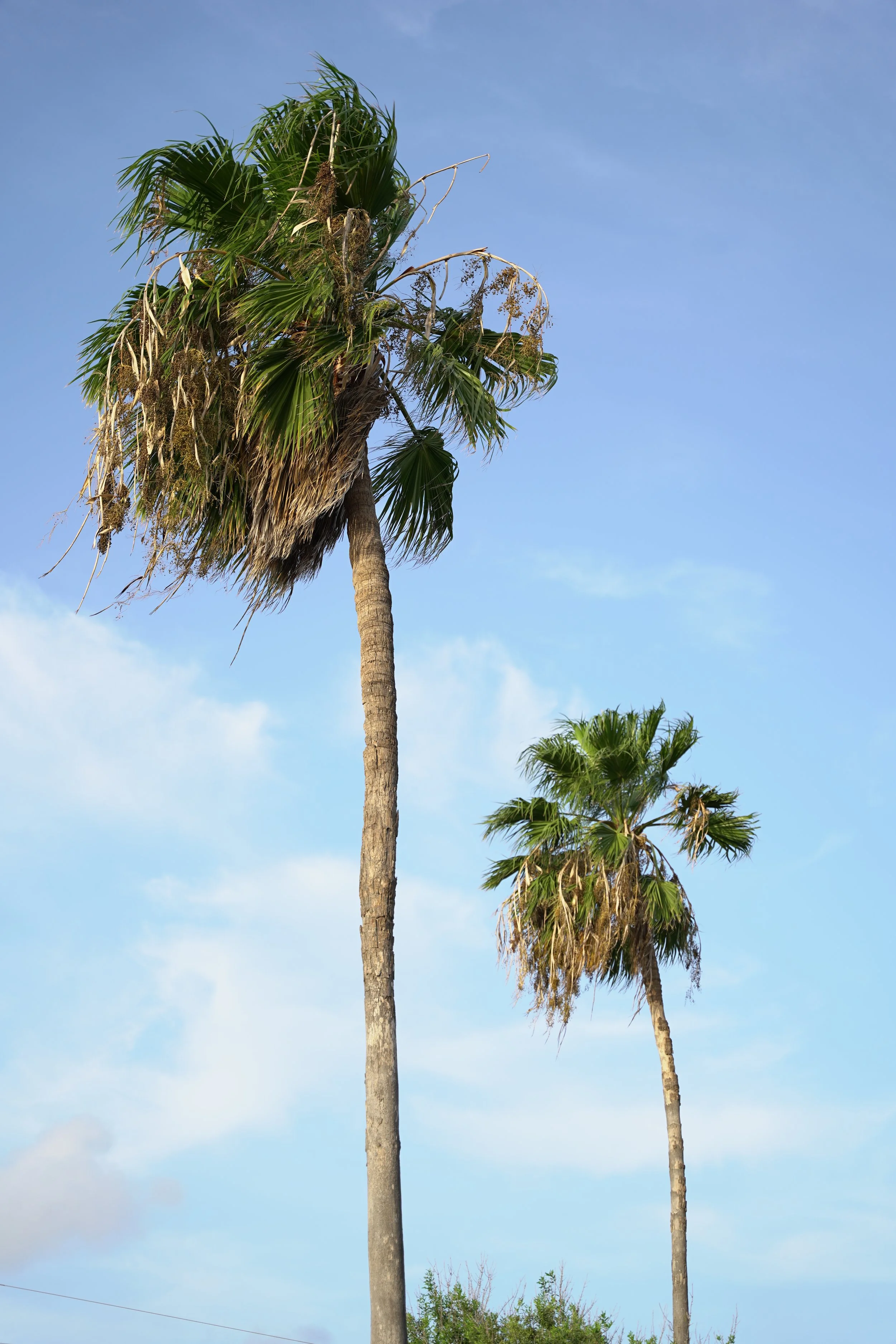 Near Gateway International Bridge System (US Side)