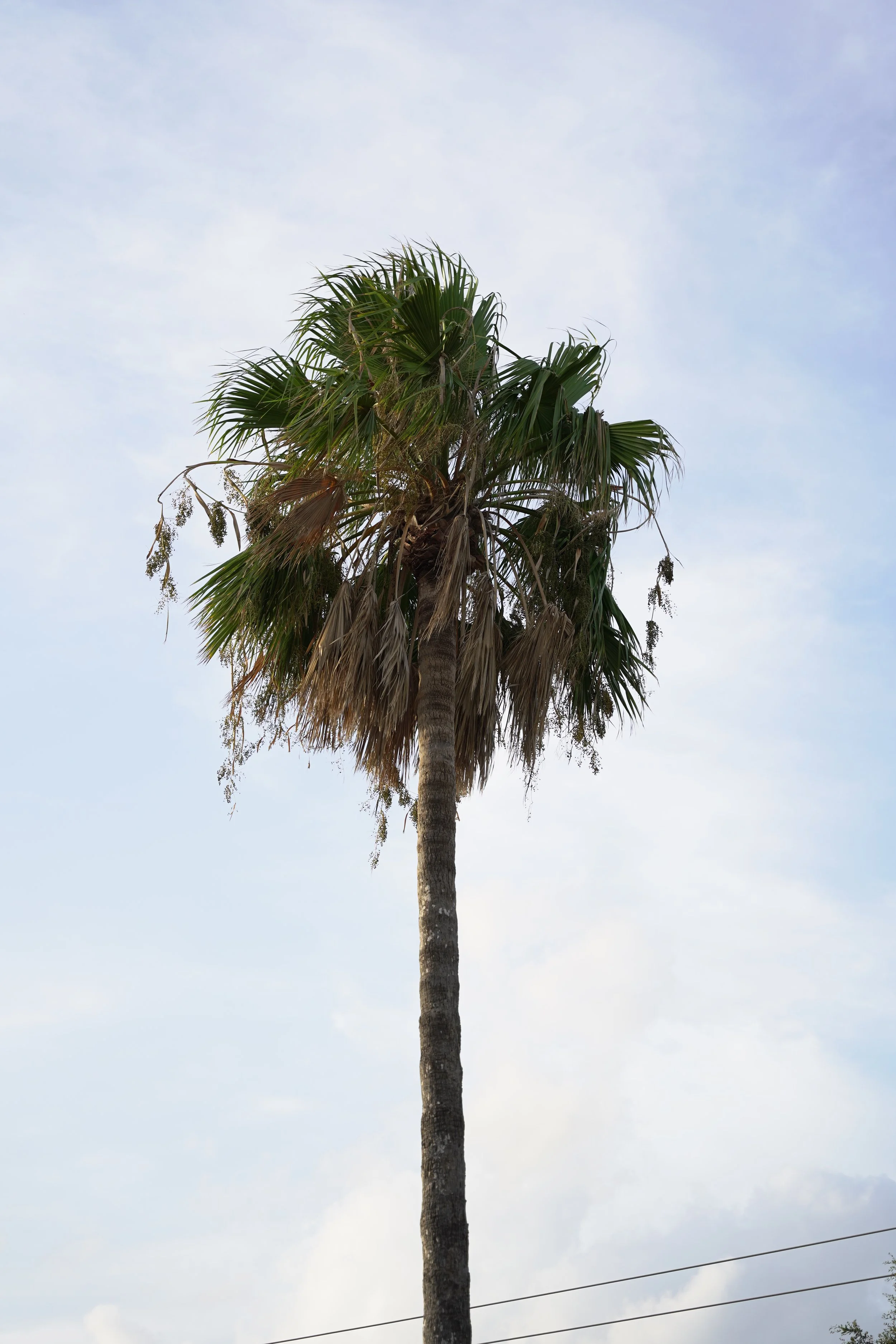 Near Gateway International Bridge System (US Side)