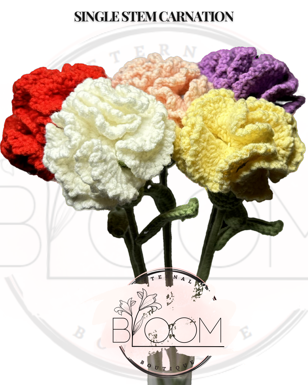 Single-Stem Carnation (Solid Color)